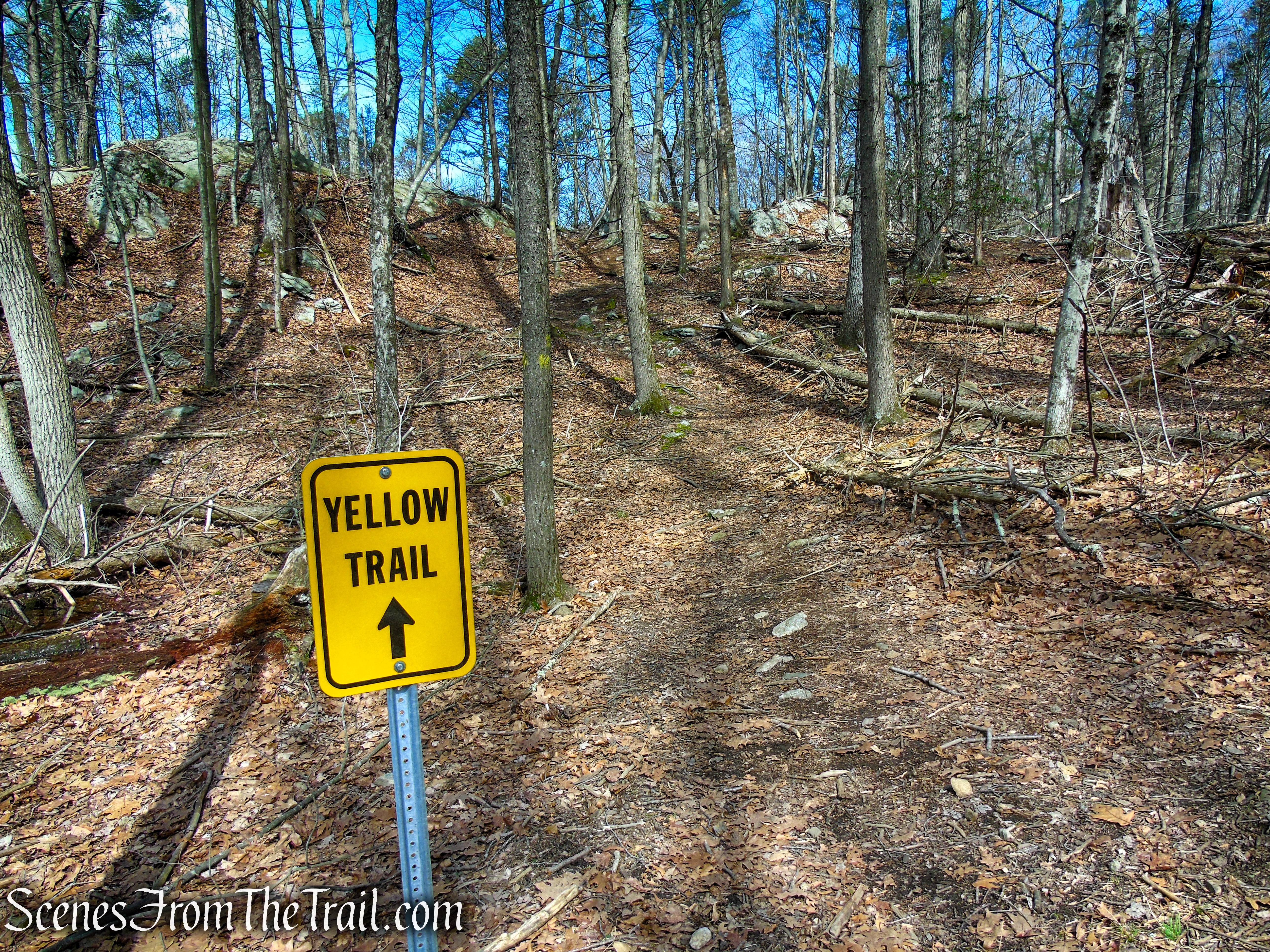 Yellow Trail - Turkey Hill Preserve