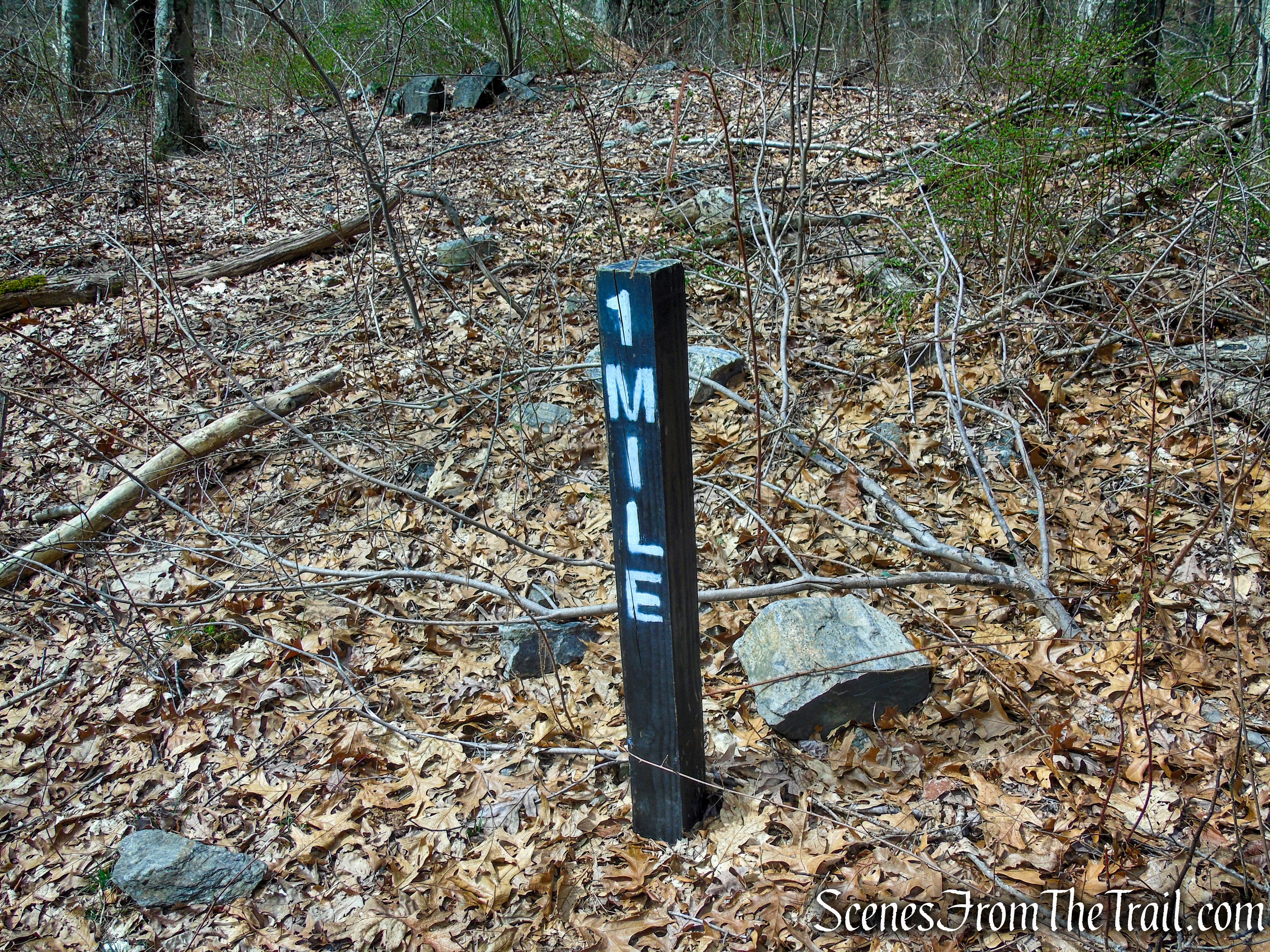 Blue Trail - Turkey Hill Preserve