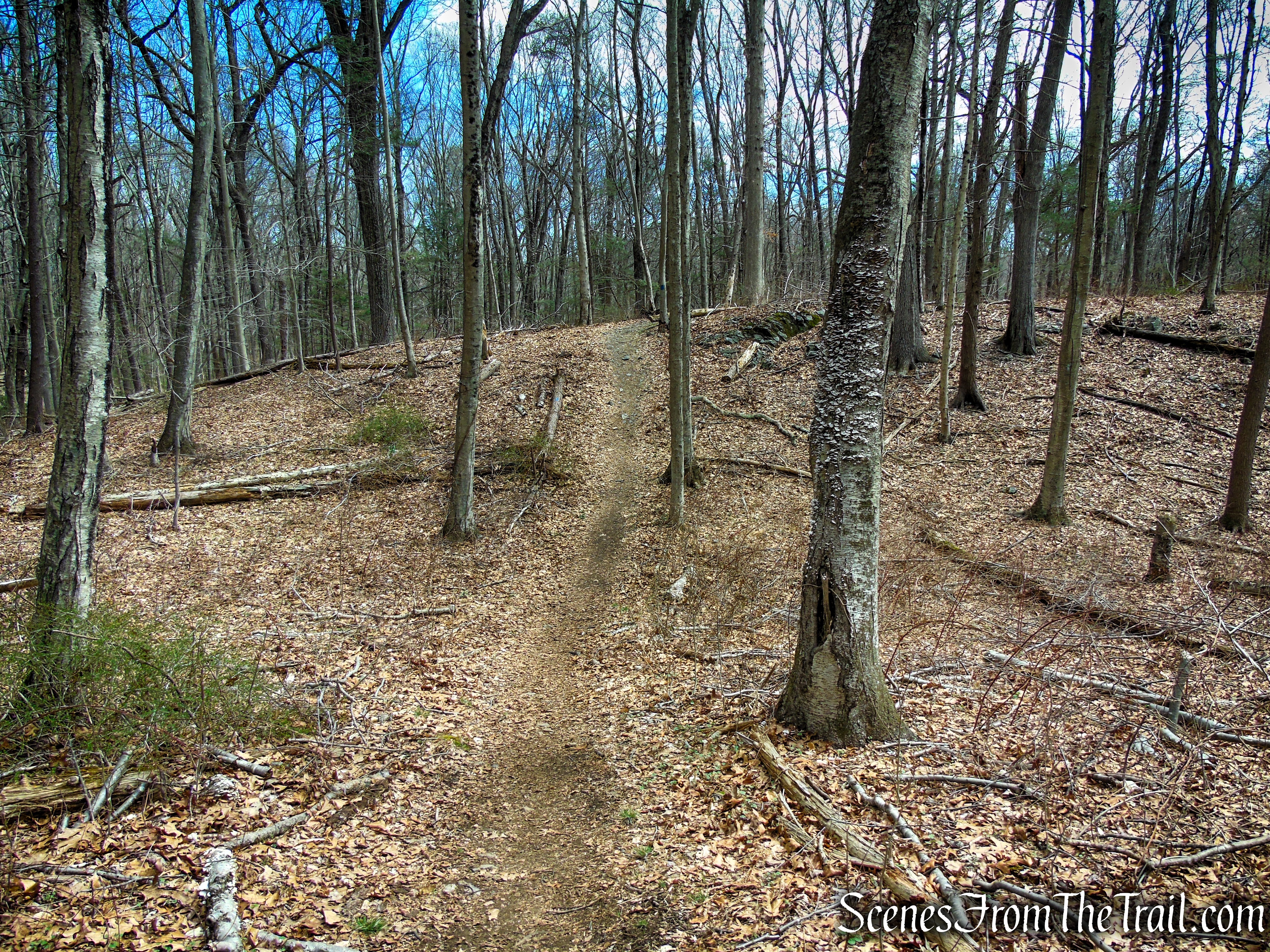 Blue Trail - Turkey Hill Preserve