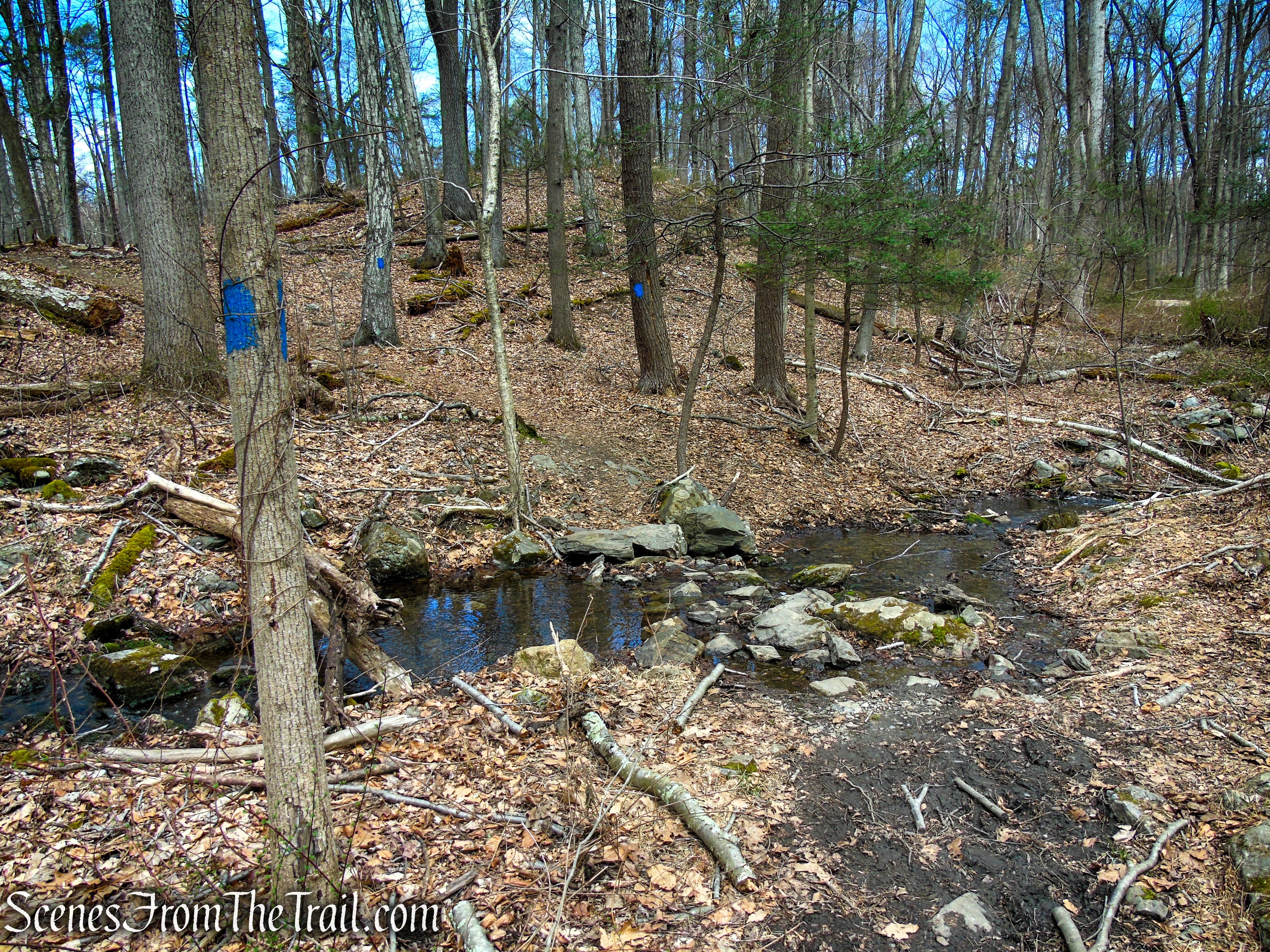 Blue Trail - Turkey Hill Preserve
