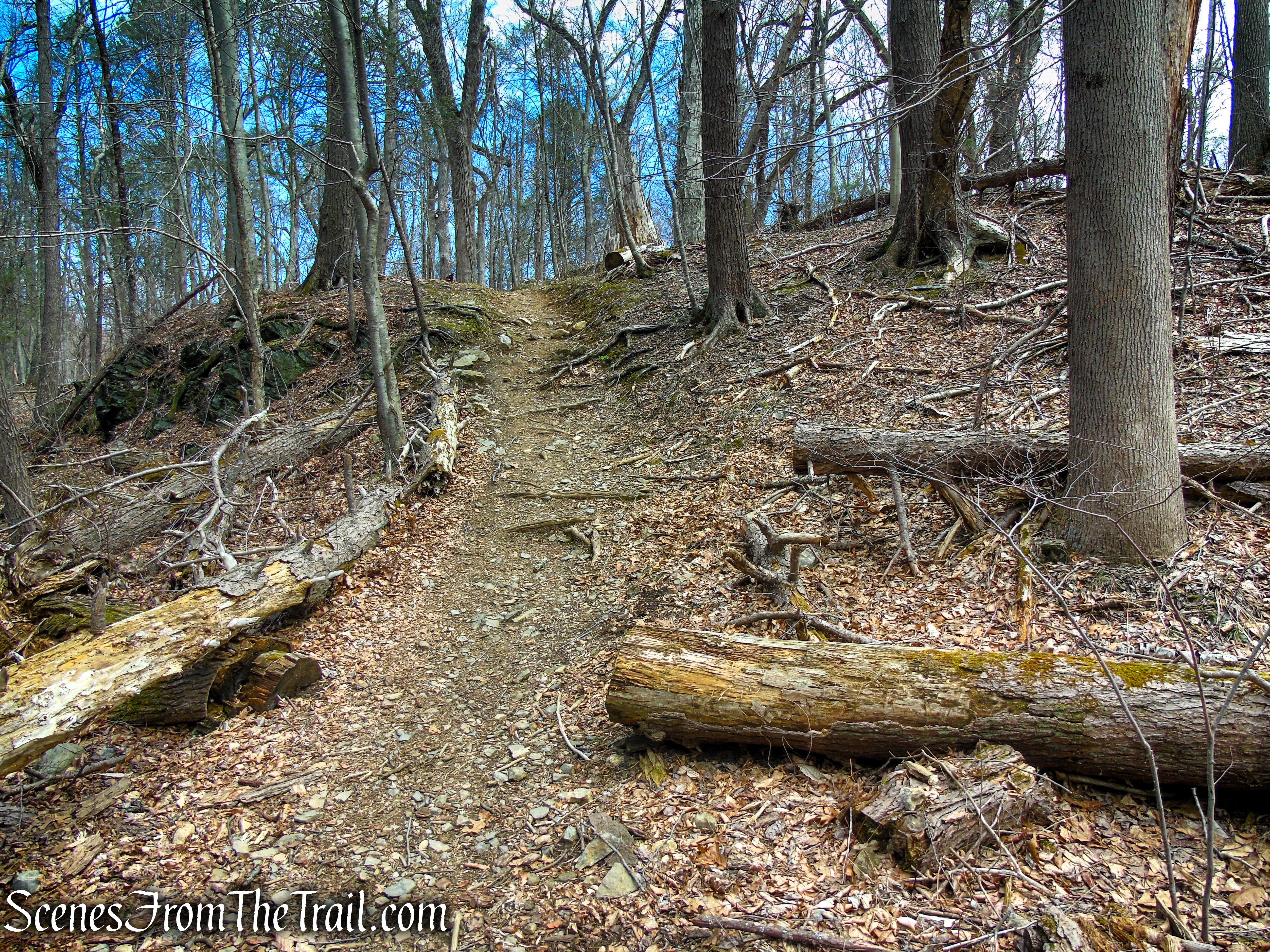 Blue Trail - Turkey Hill Preserve