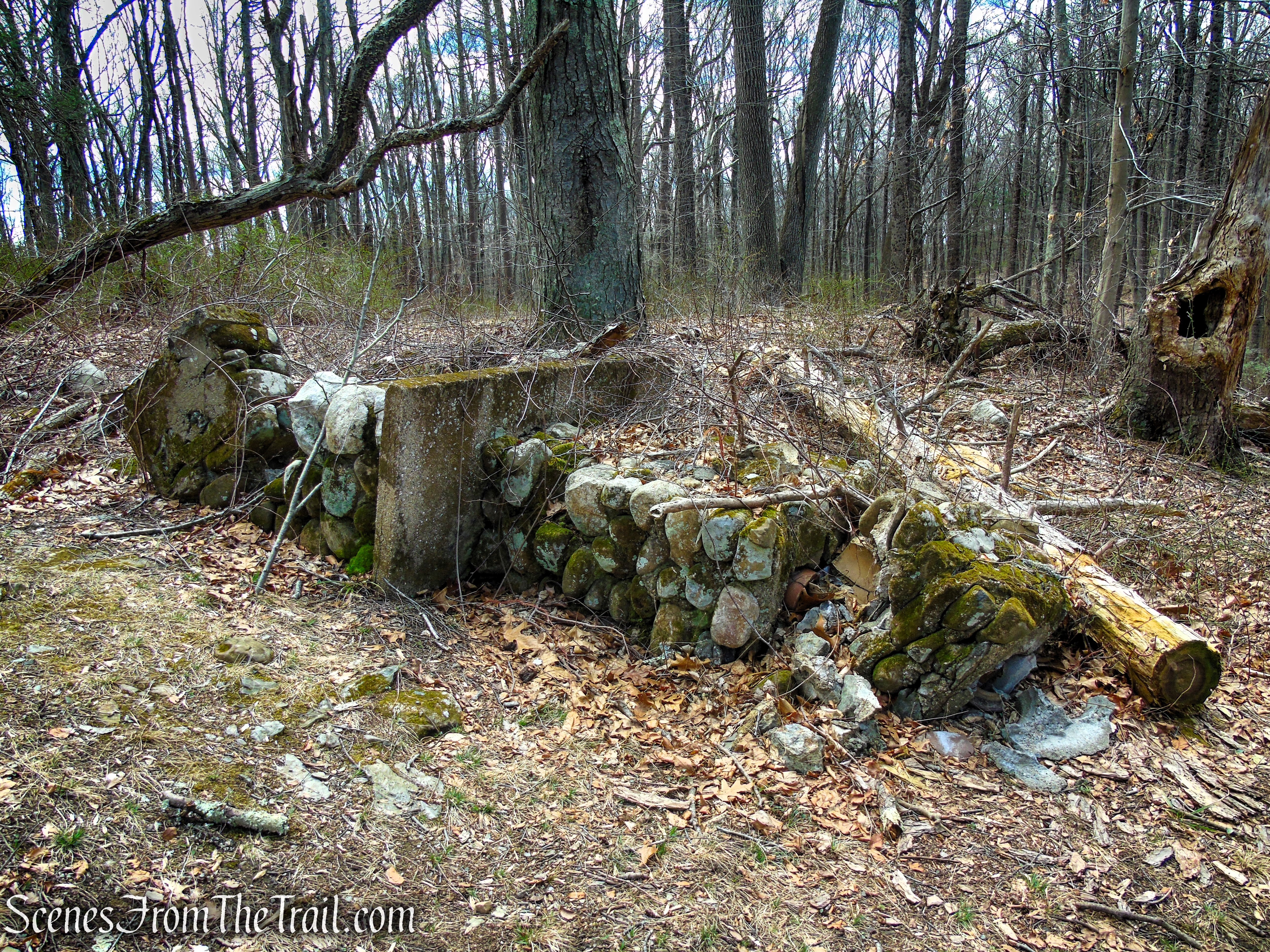 Blue Trail - Turkey Hill Preserve