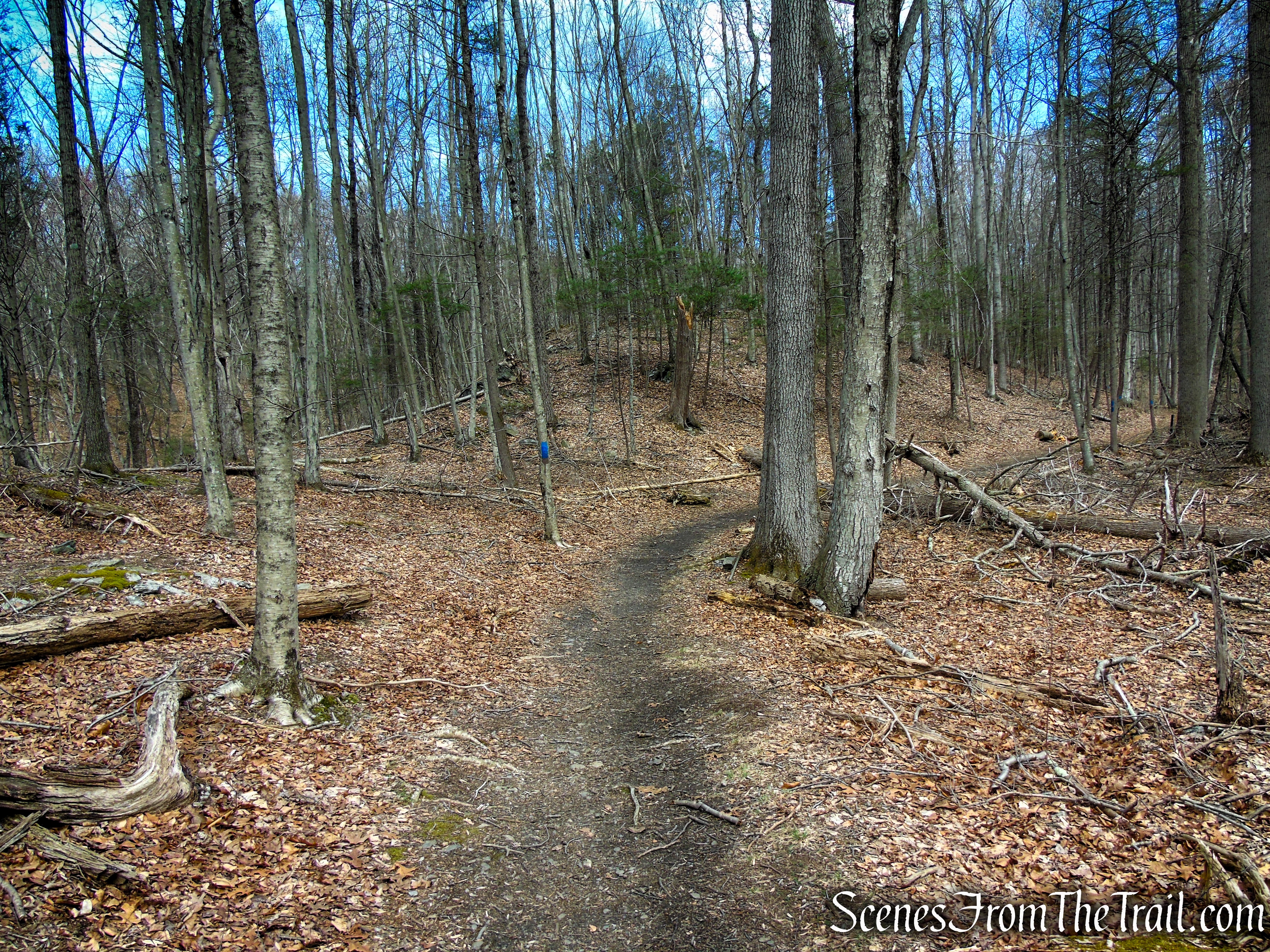 Blue Trail - Turkey Hill Preserve