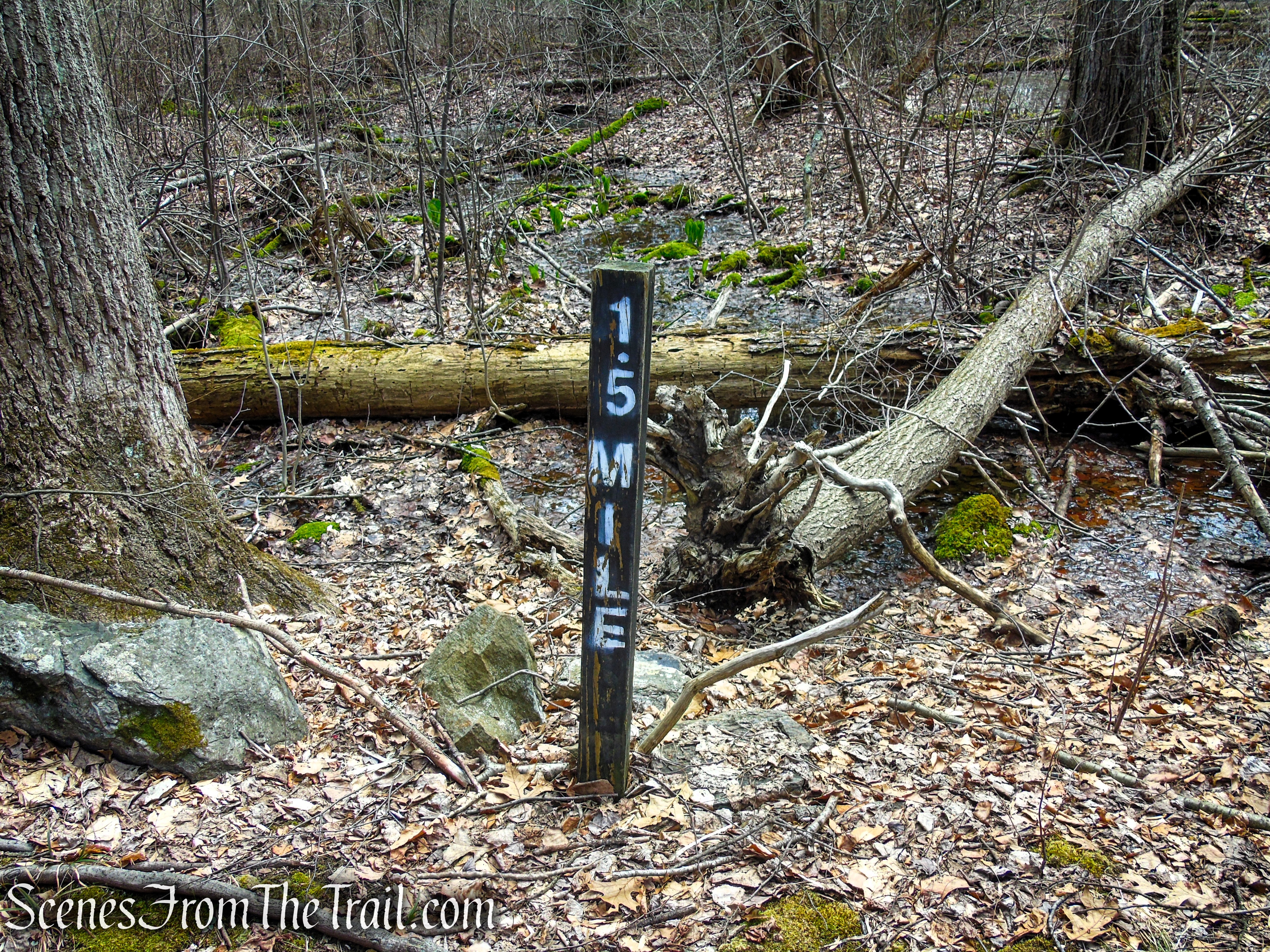 Blue Trail - Turkey Hill Preserve
