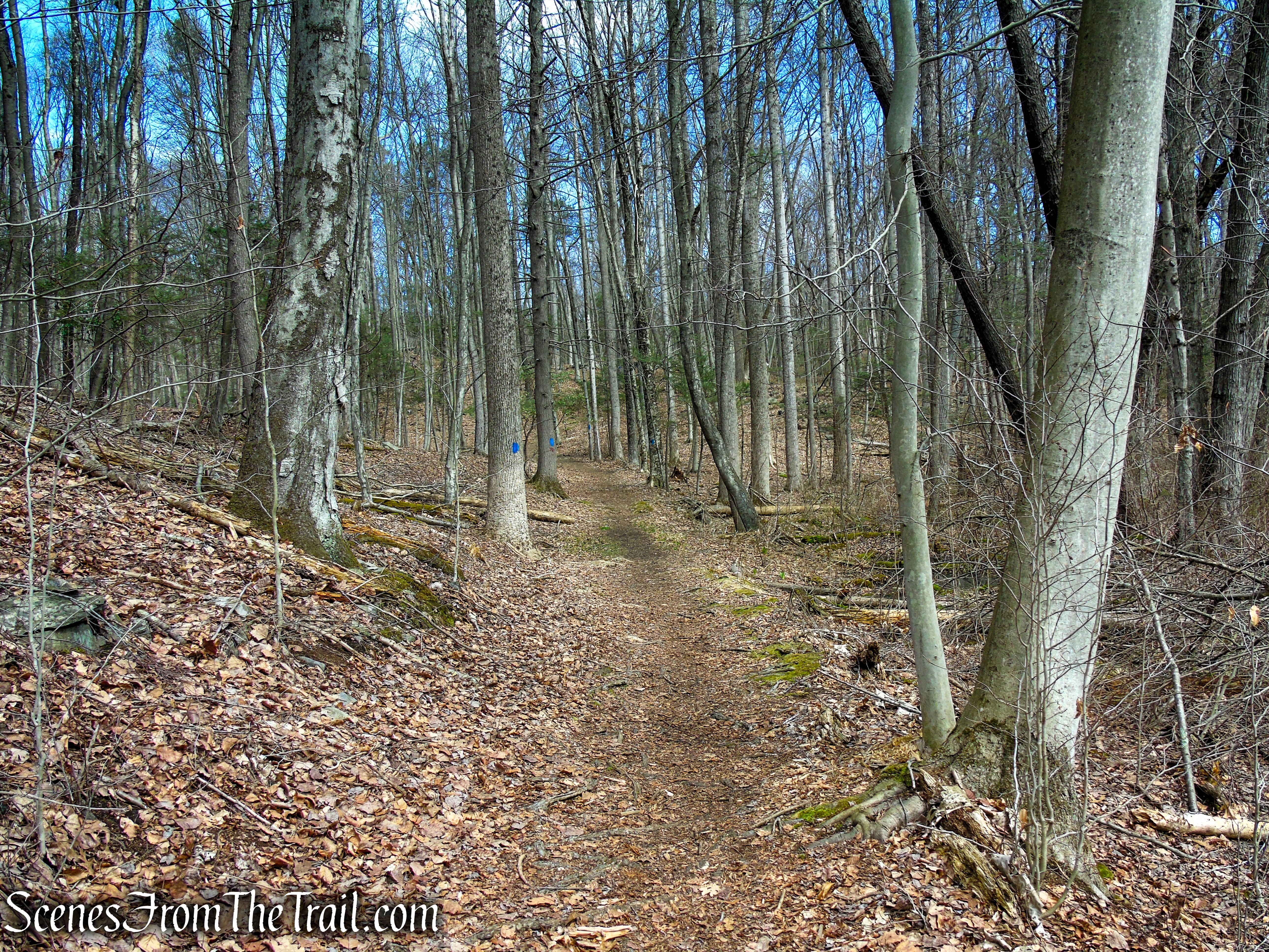 Blue Trail - Turkey Hill Preserve