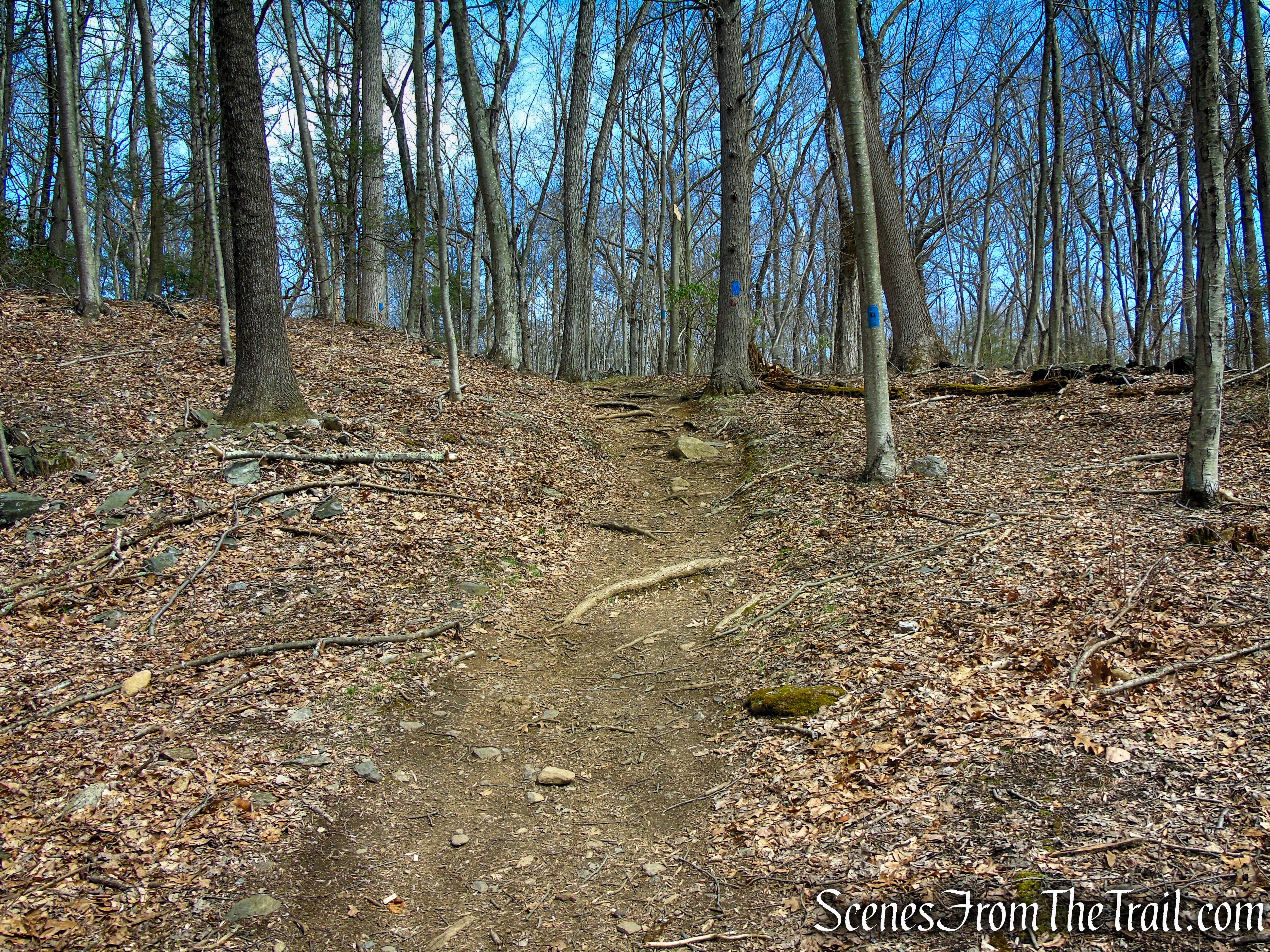 Blue Trail - Turkey Hill Preserve