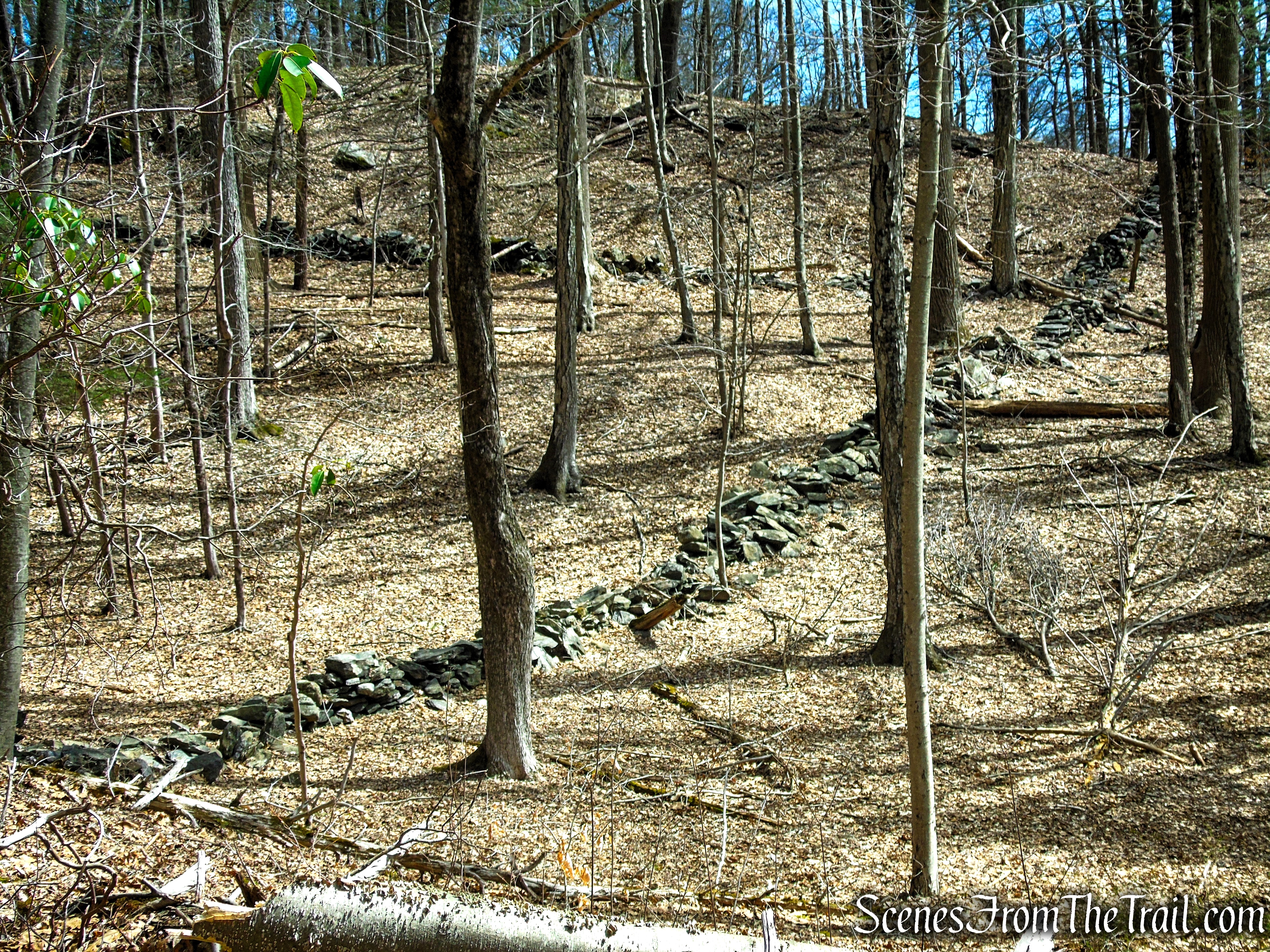 Blue Trail - Turkey Hill Preserve