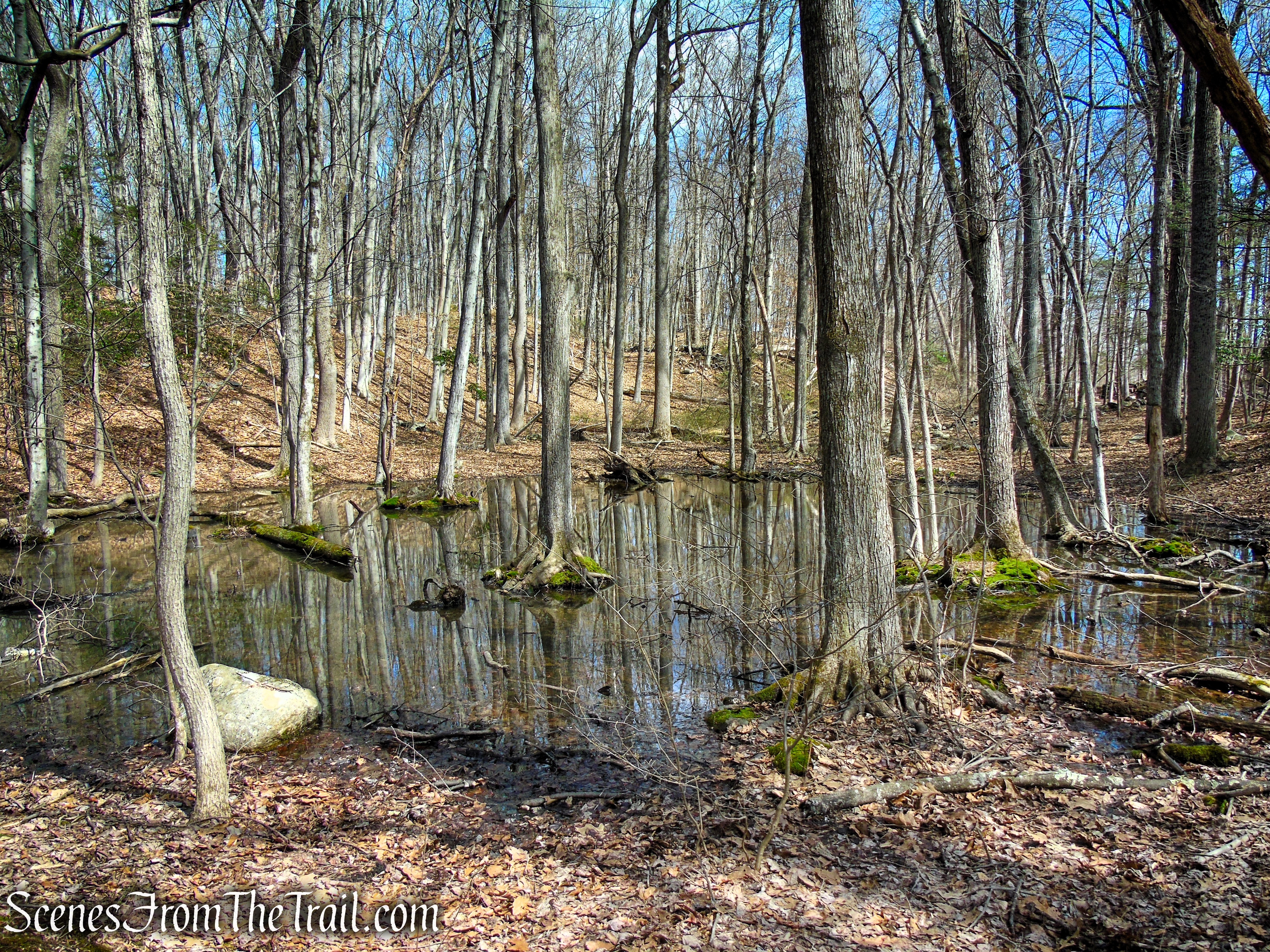 Blue Trail - Turkey Hill Preserve