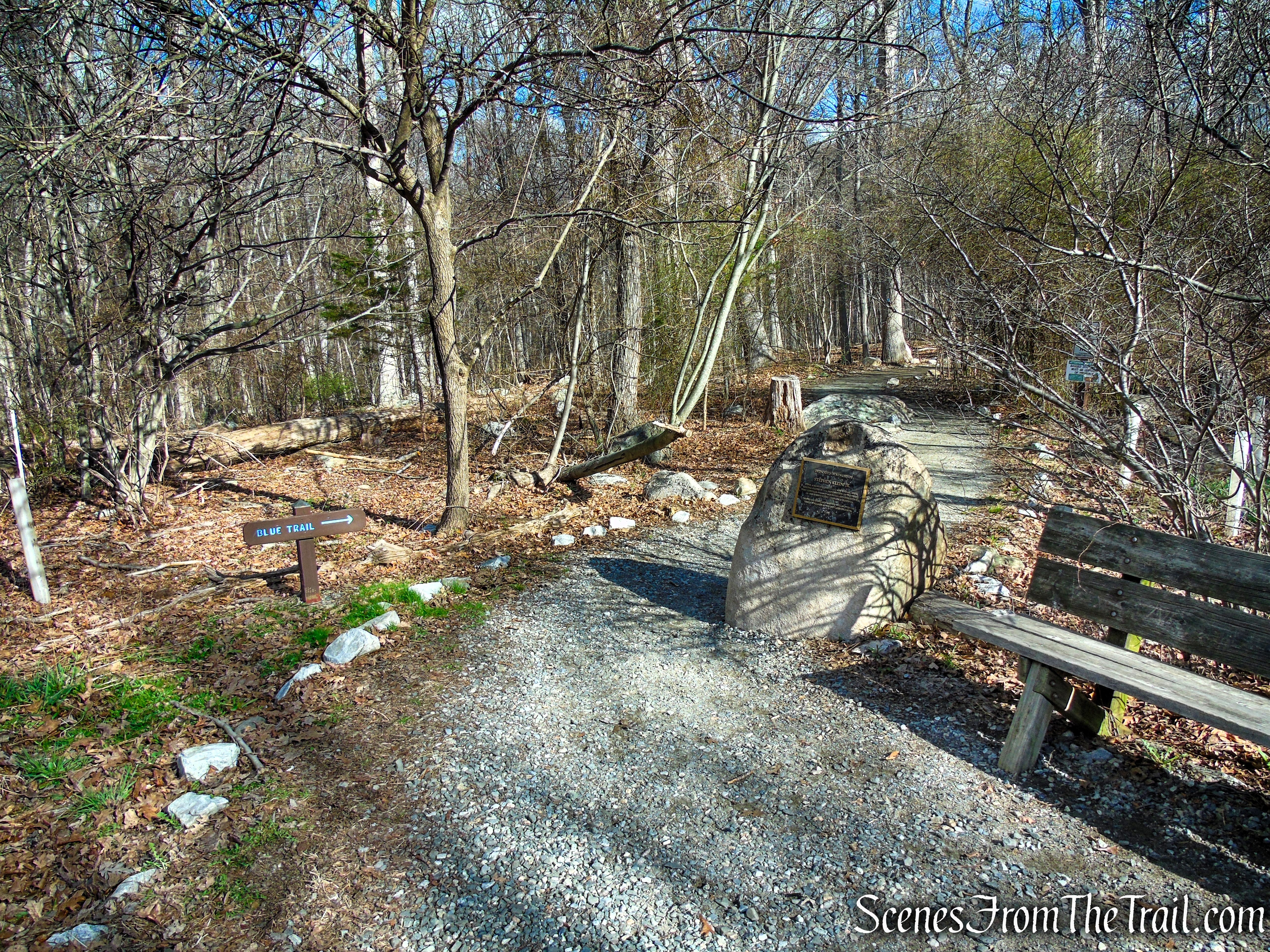 Blue Trail - Pyramid Mountain