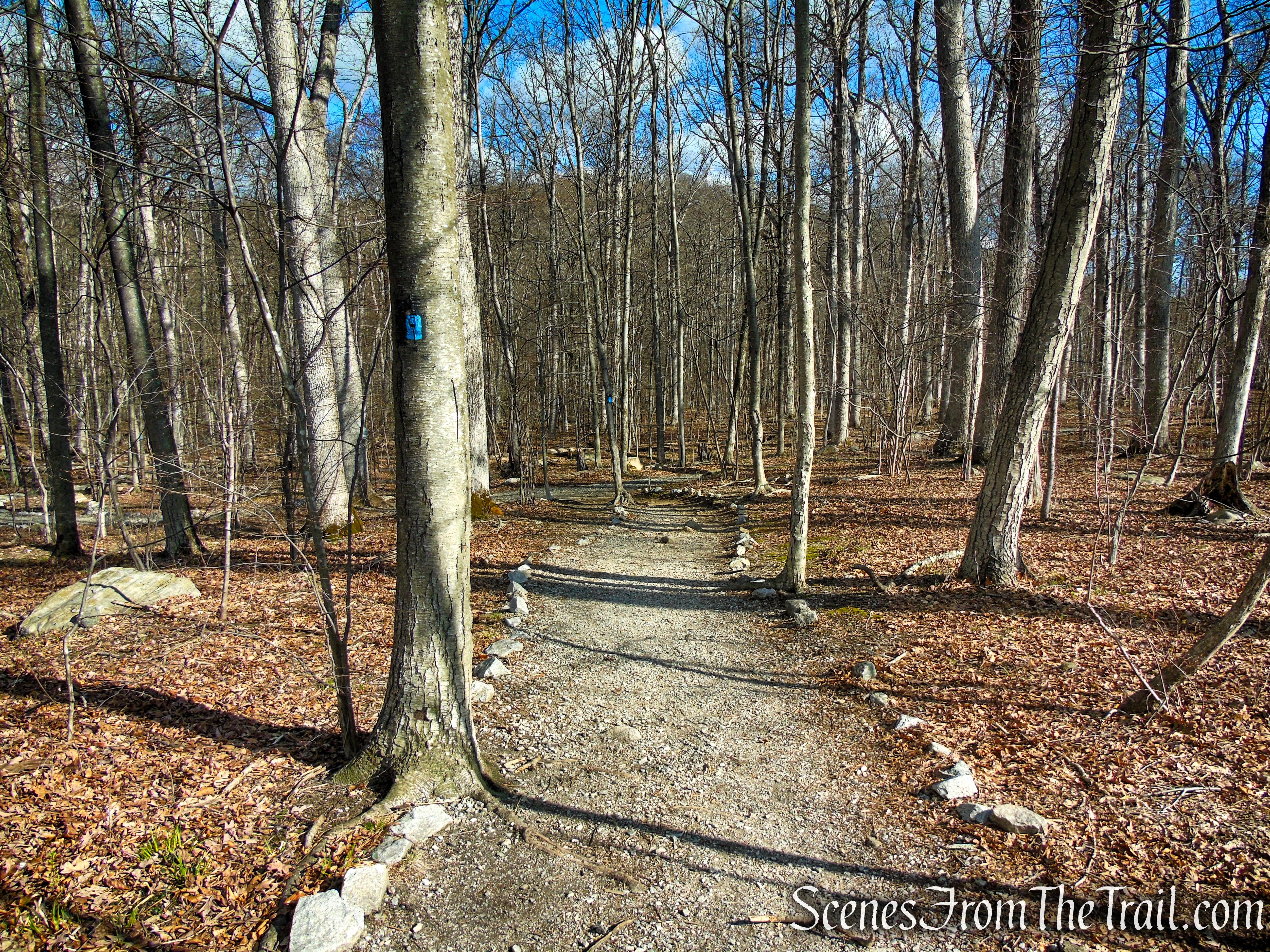 Blue Trail - Pyramid Mountain