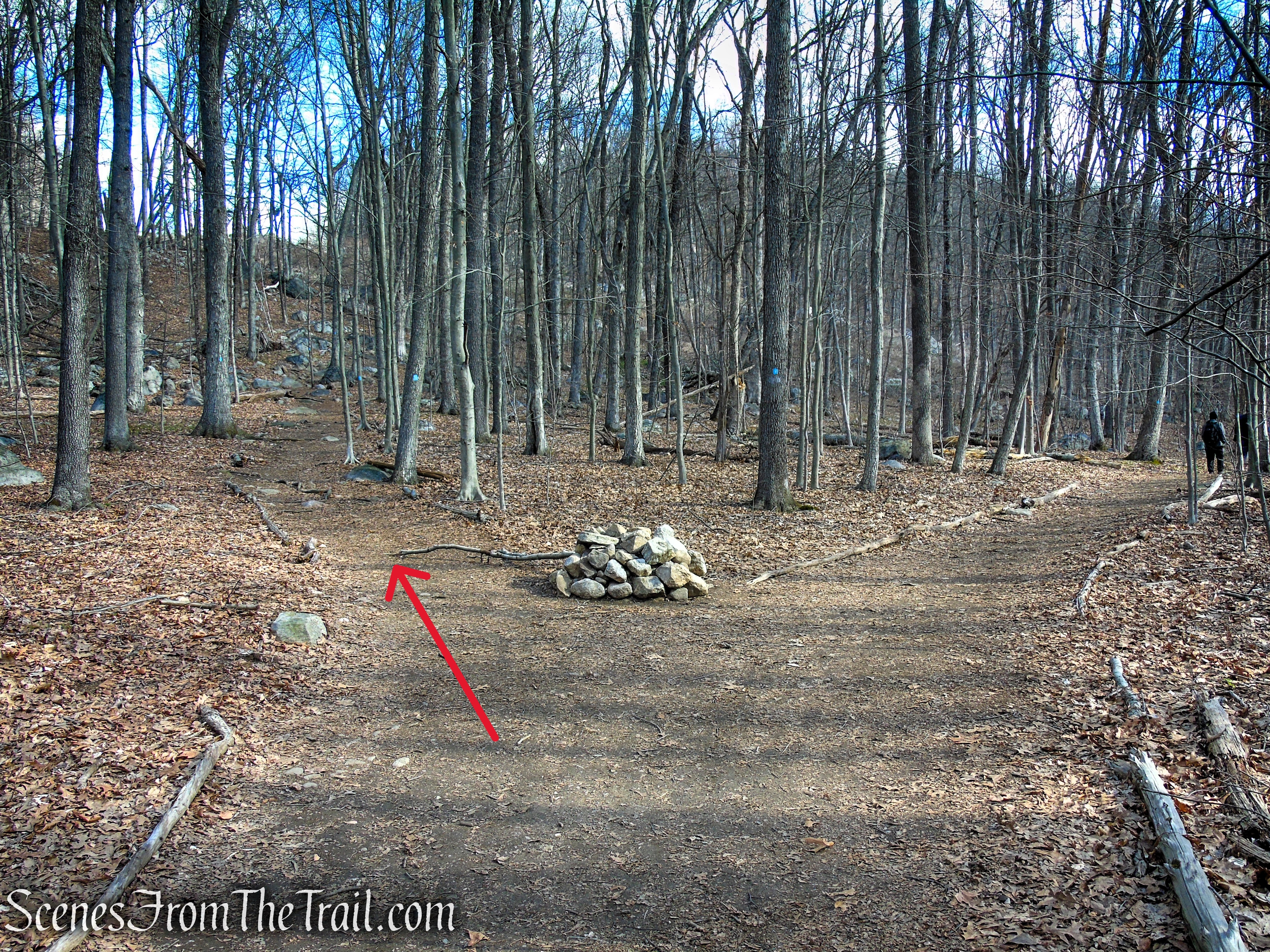 Blue Trail - Pyramid Mountain