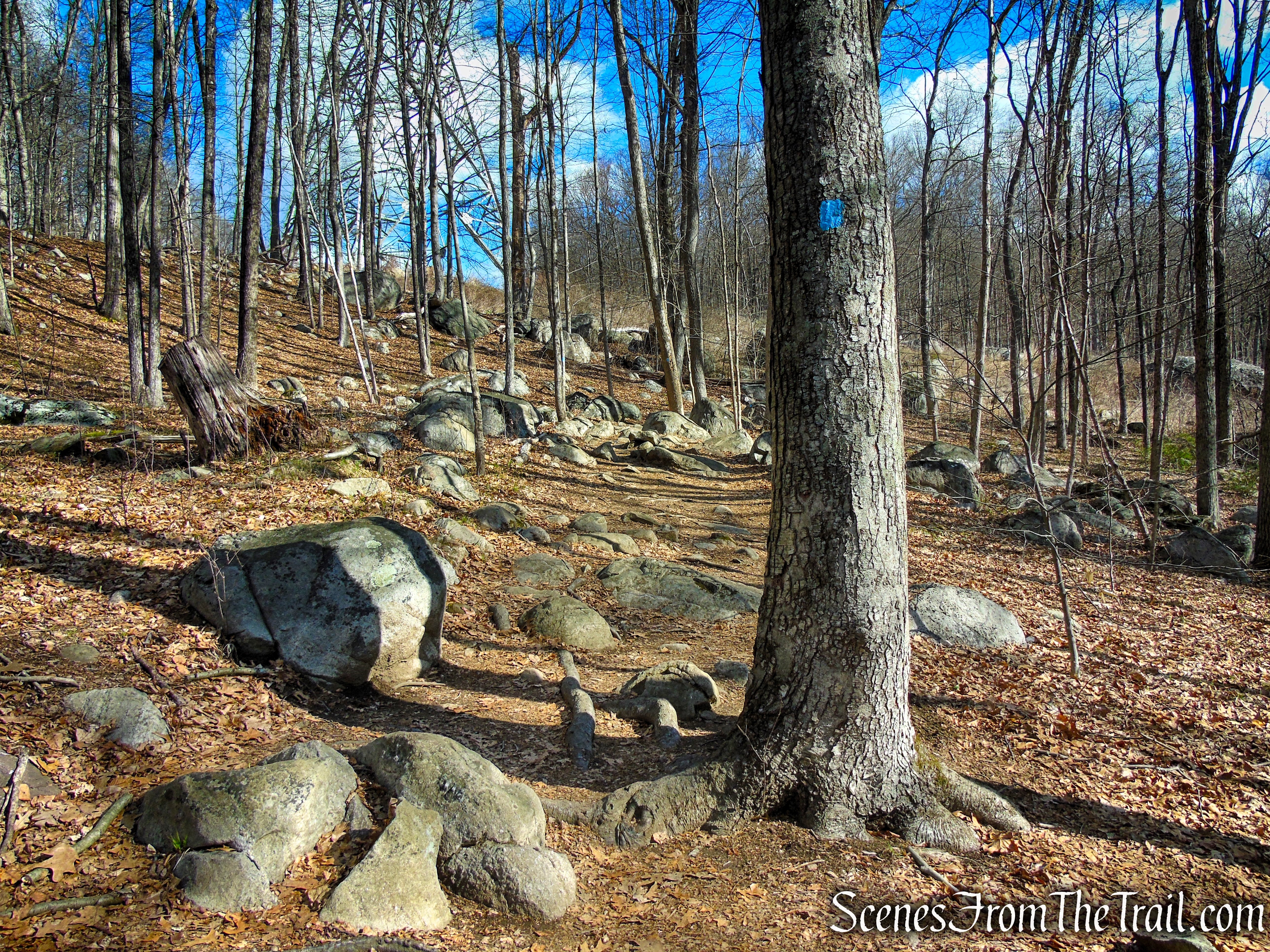 Blue Trail - Pyramid Mountain