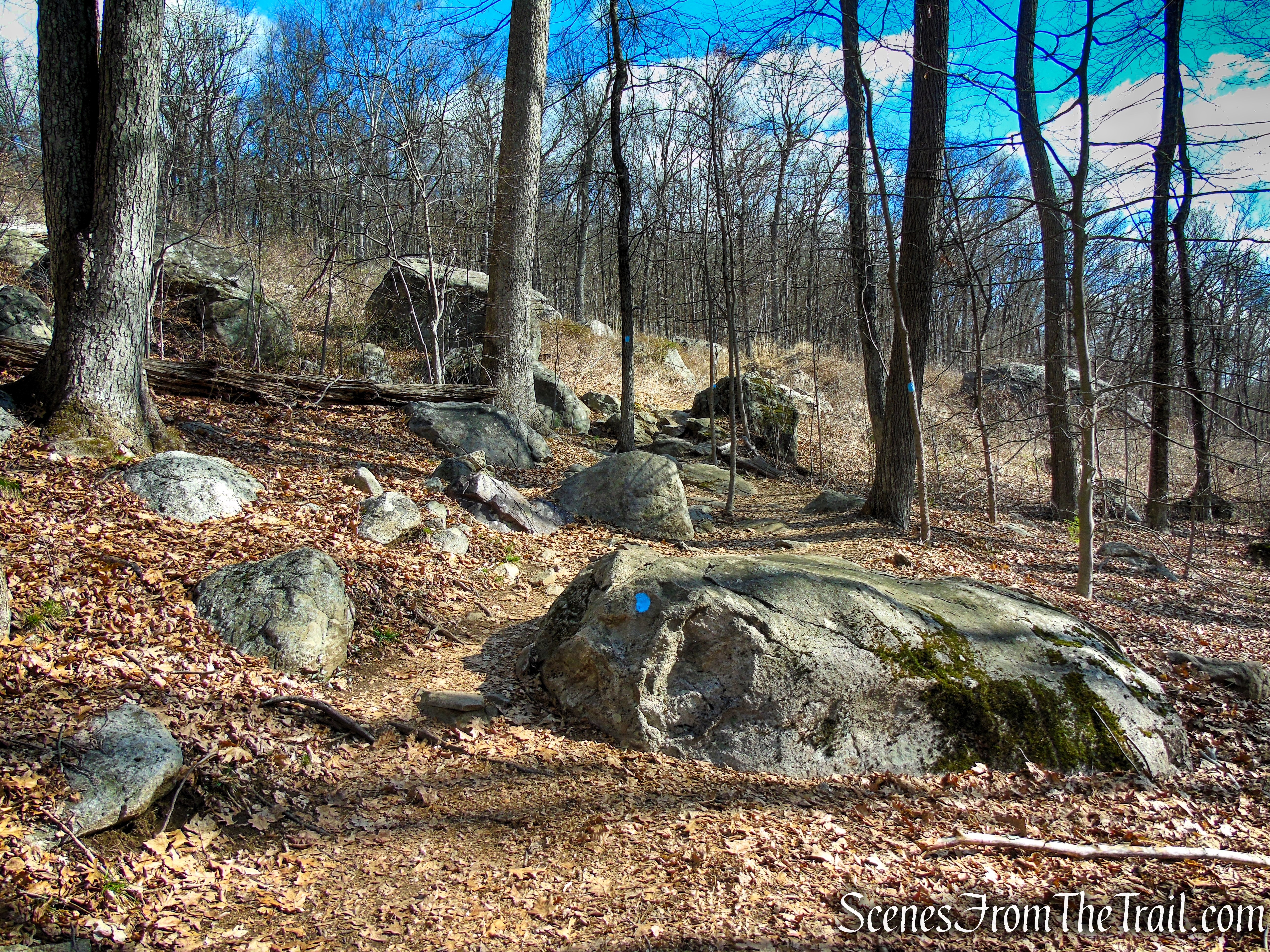 Blue Trail - Pyramid Mountain