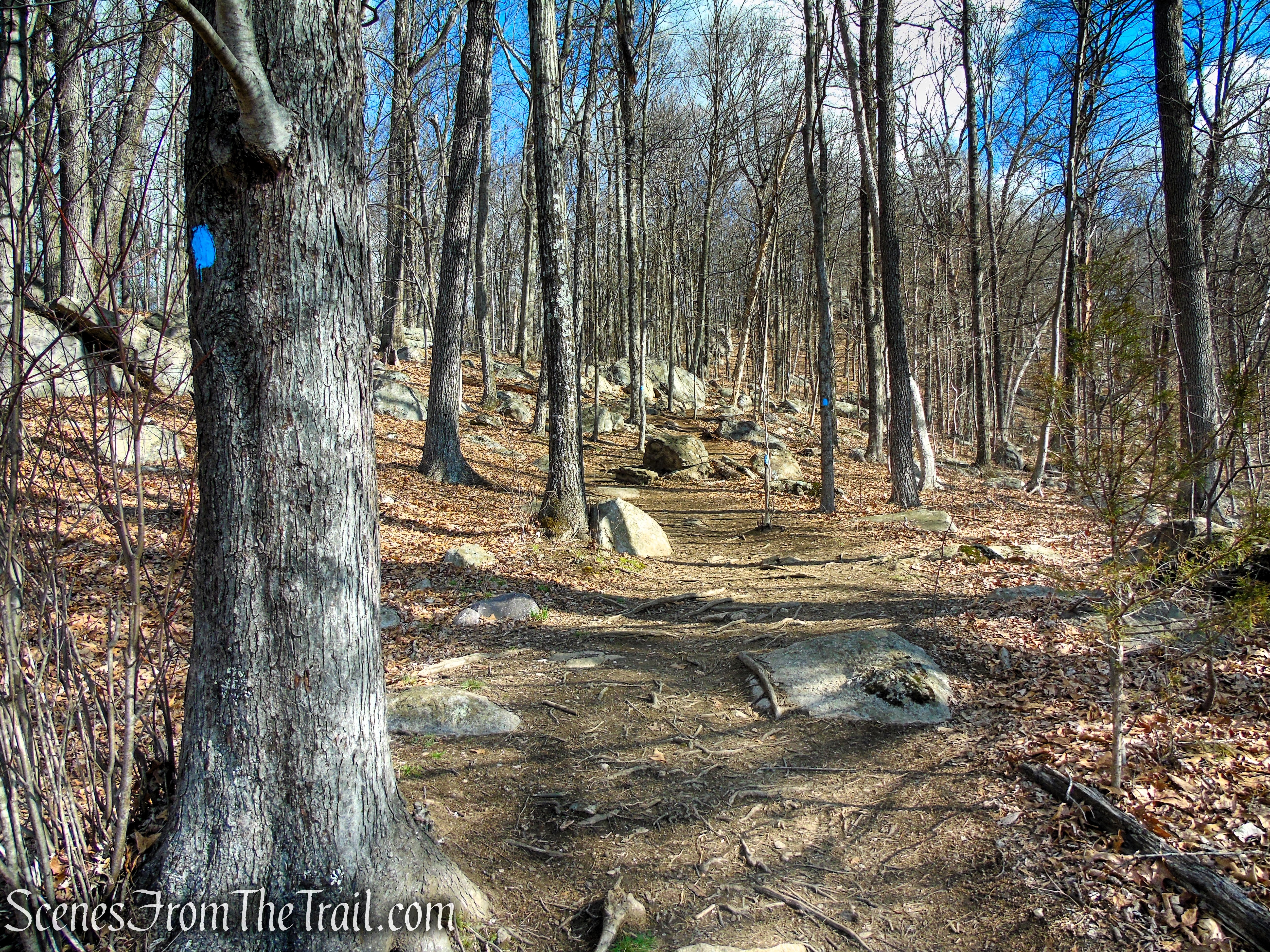 Blue Trail - Pyramid Mountain