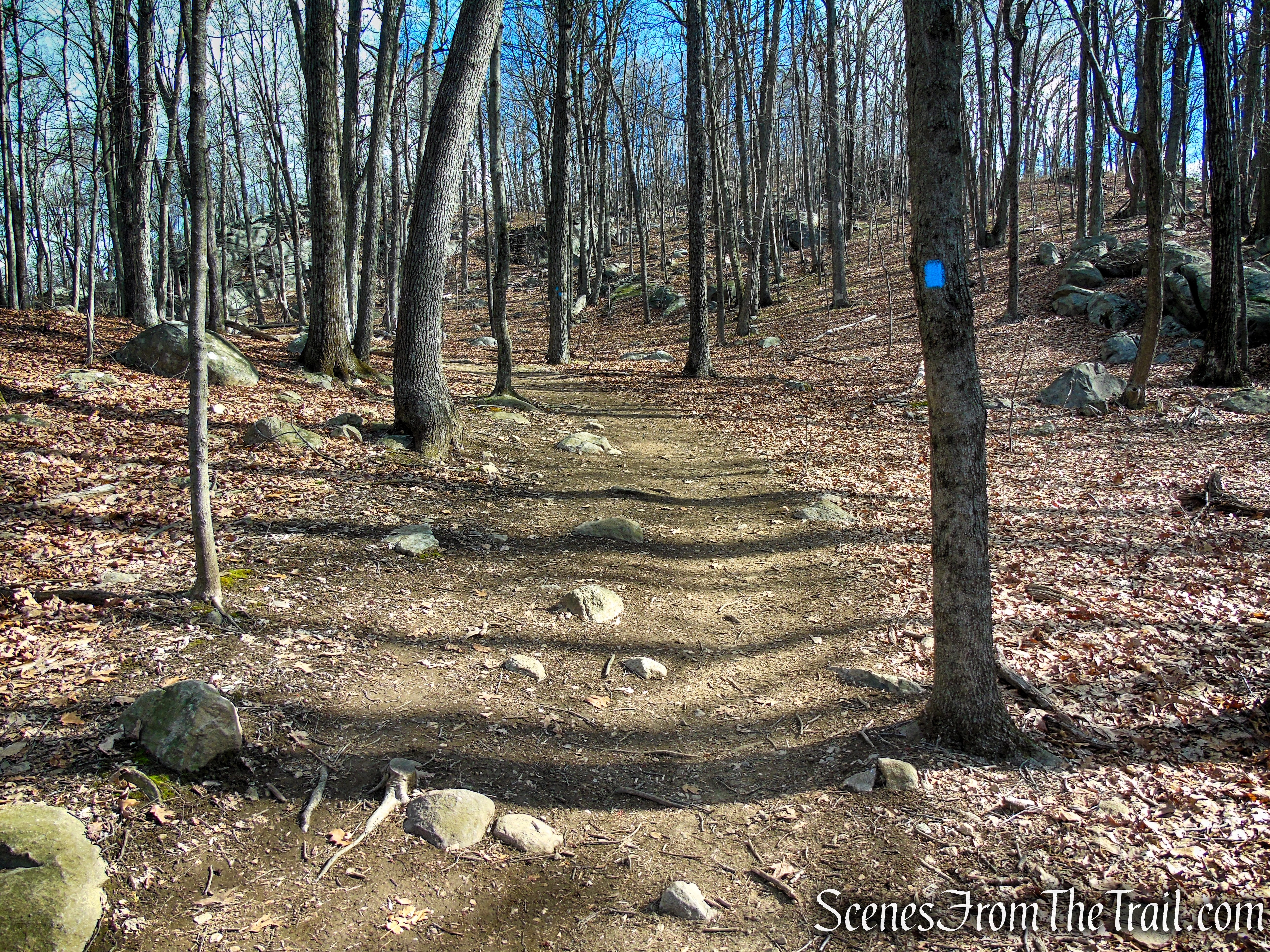 Blue Trail - Pyramid Mountain