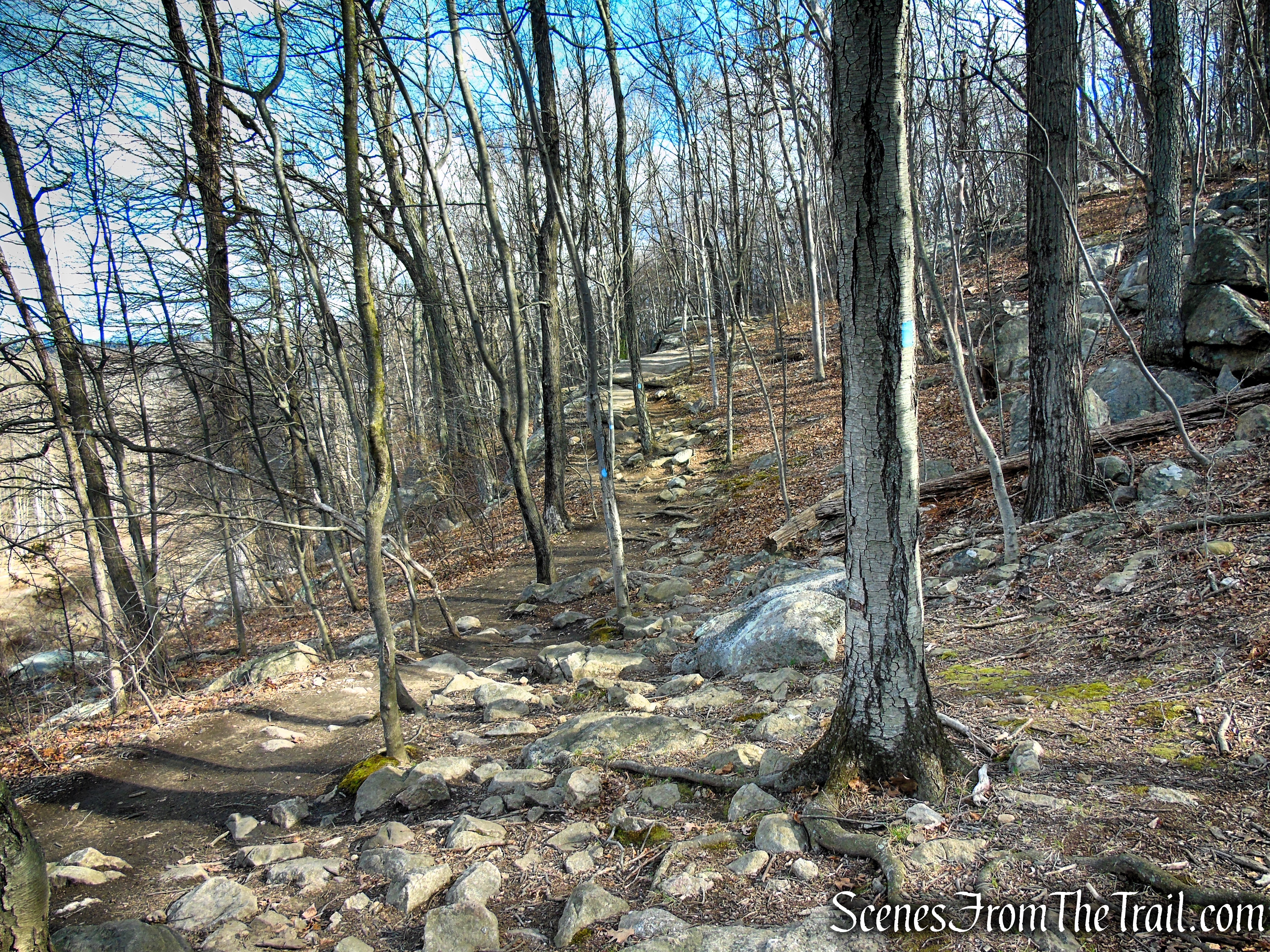 Blue Trail - Pyramid Mountain
