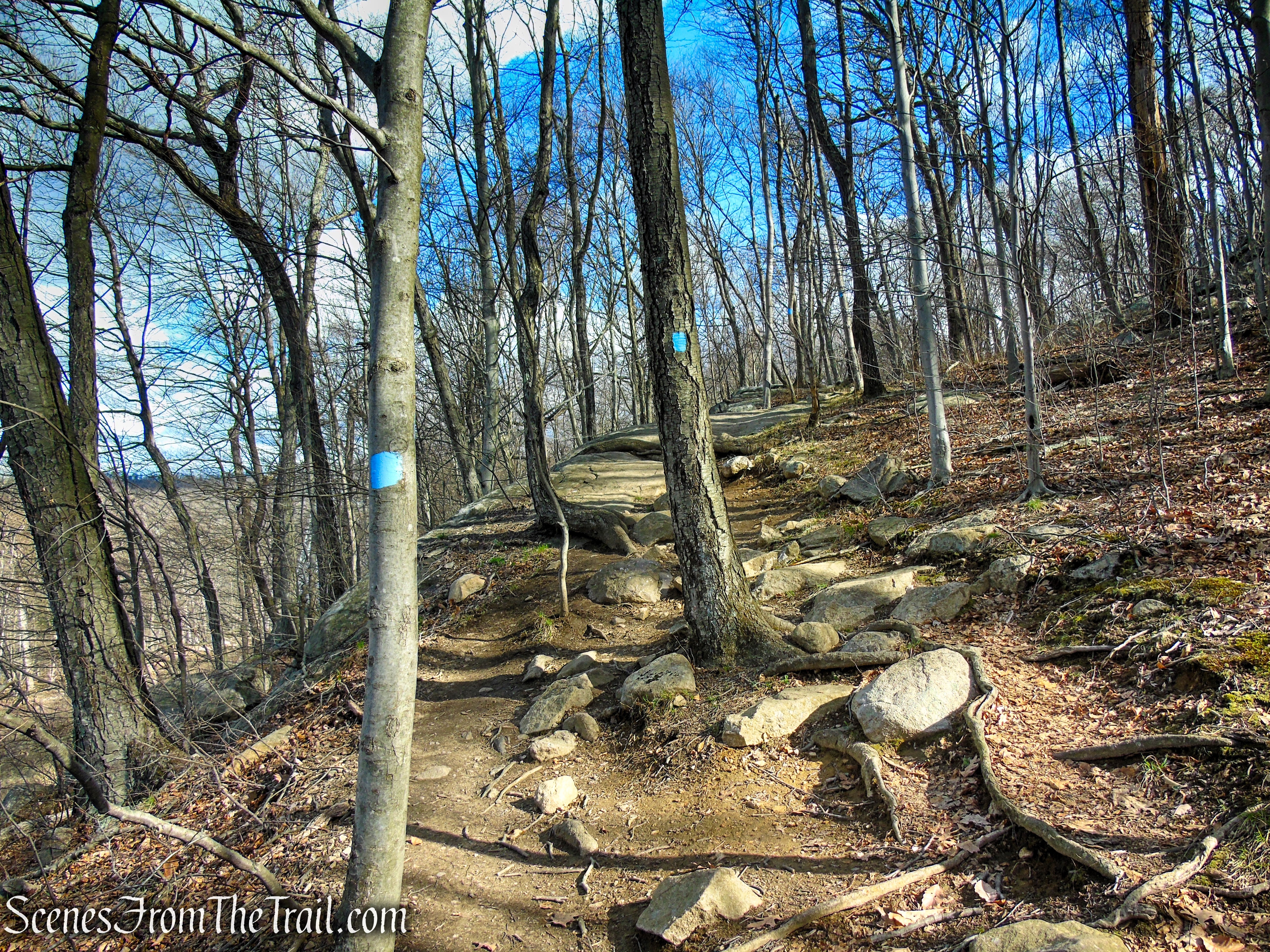 Blue Trail - Pyramid Mountain