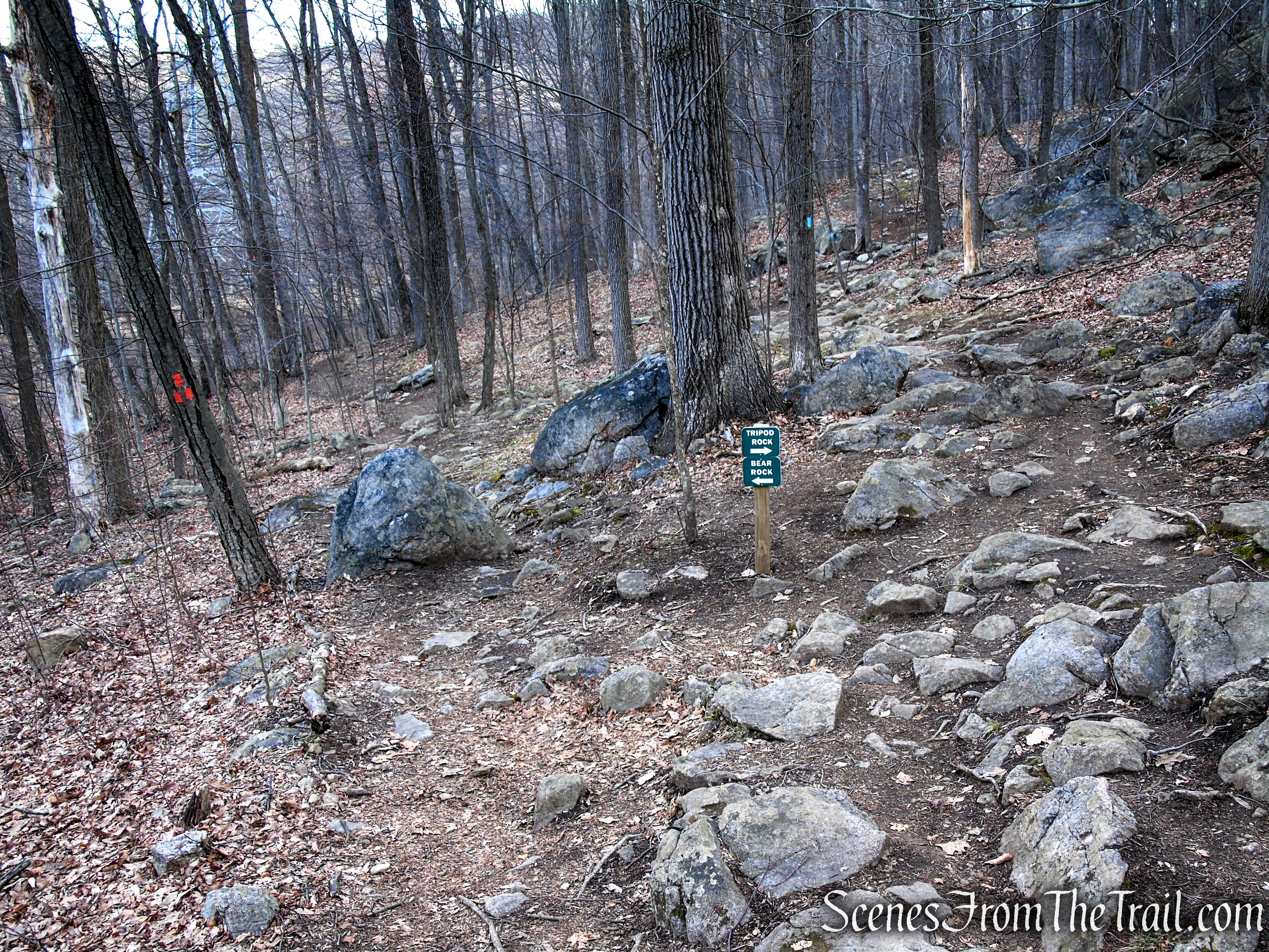 Blue Trail - Pyramid Mountain