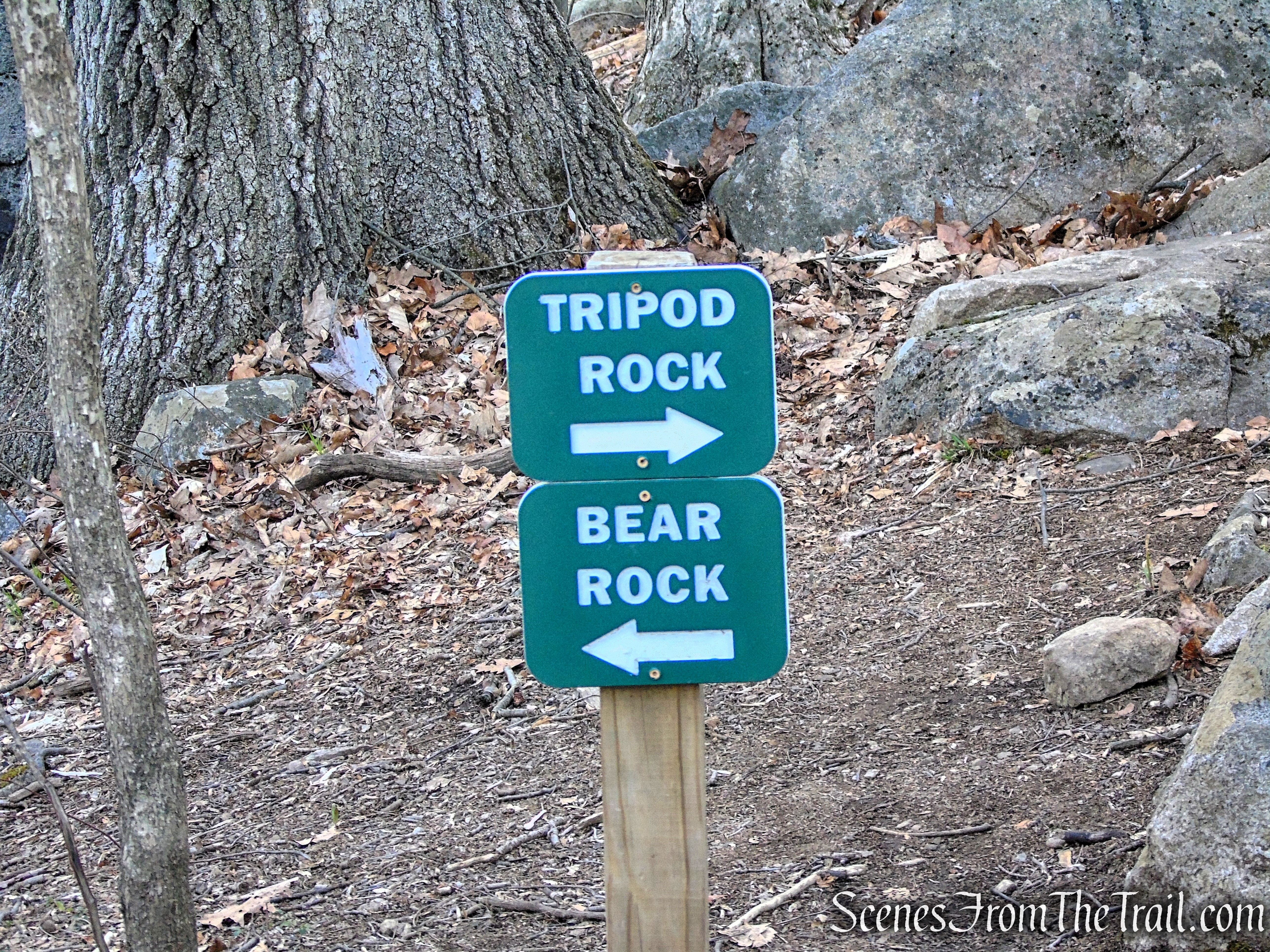 Blue Trail - Pyramid Mountain