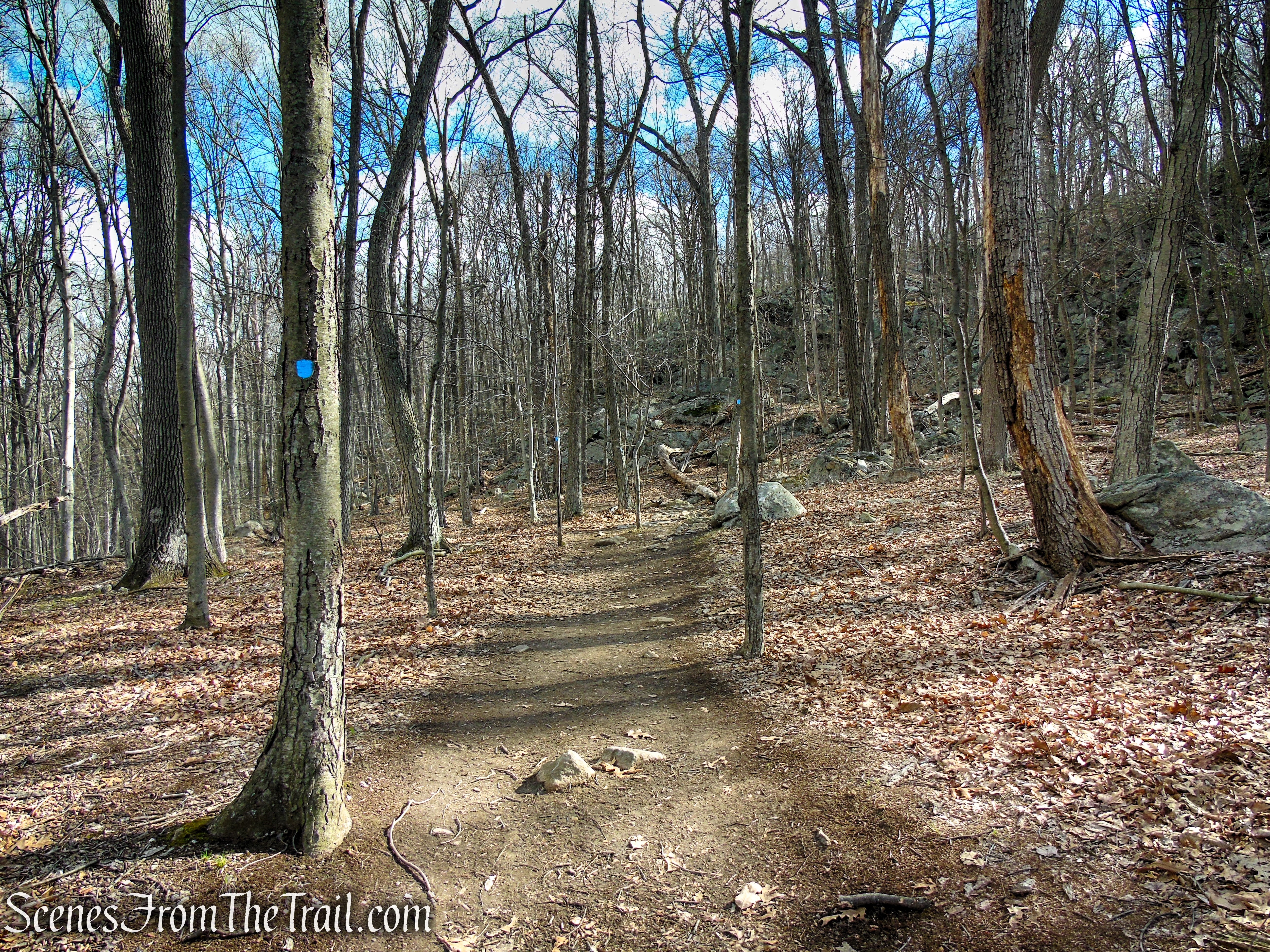 Blue Trail - Pyramid Mountain