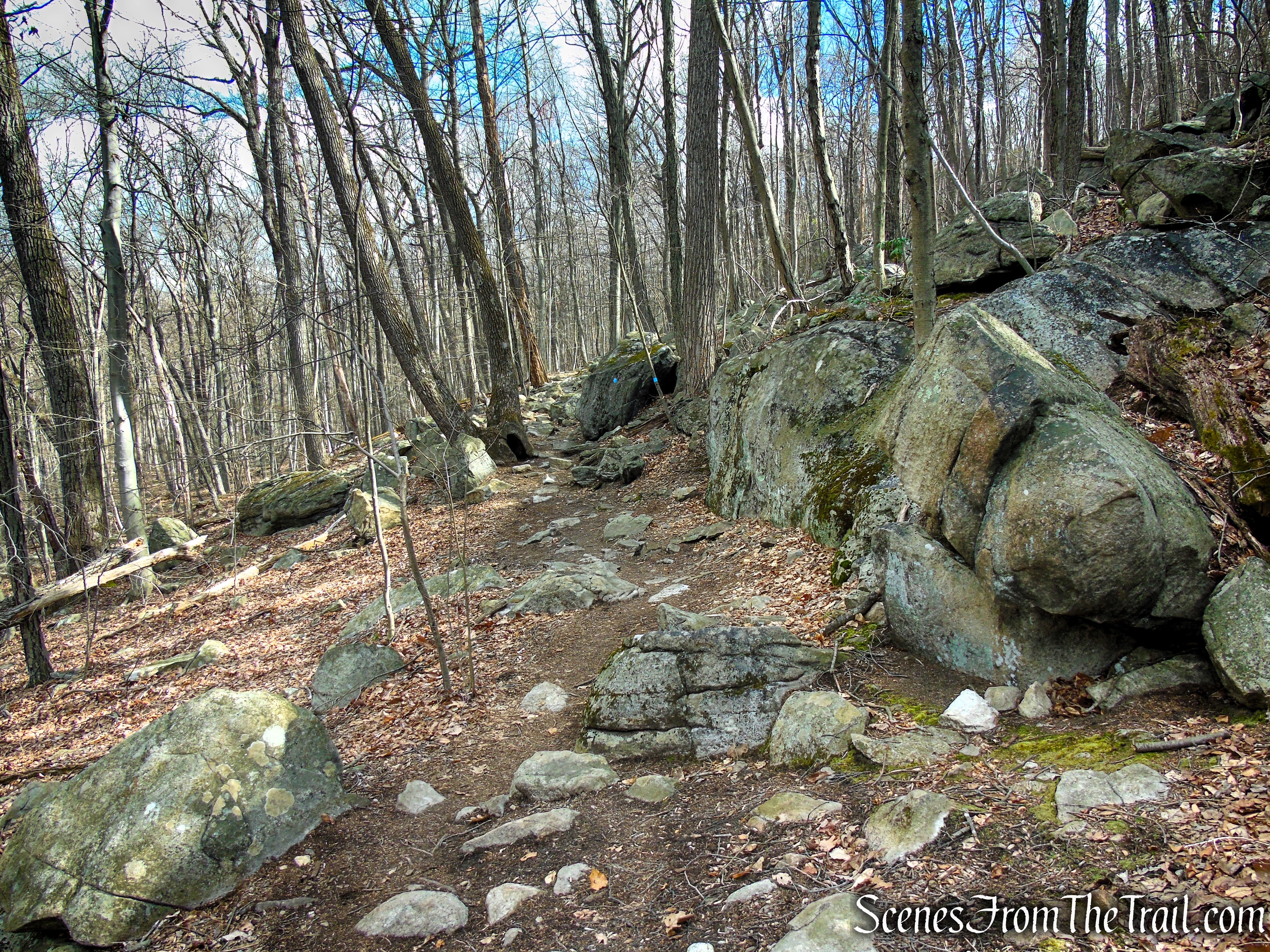 Blue Trail - Pyramid Mountain