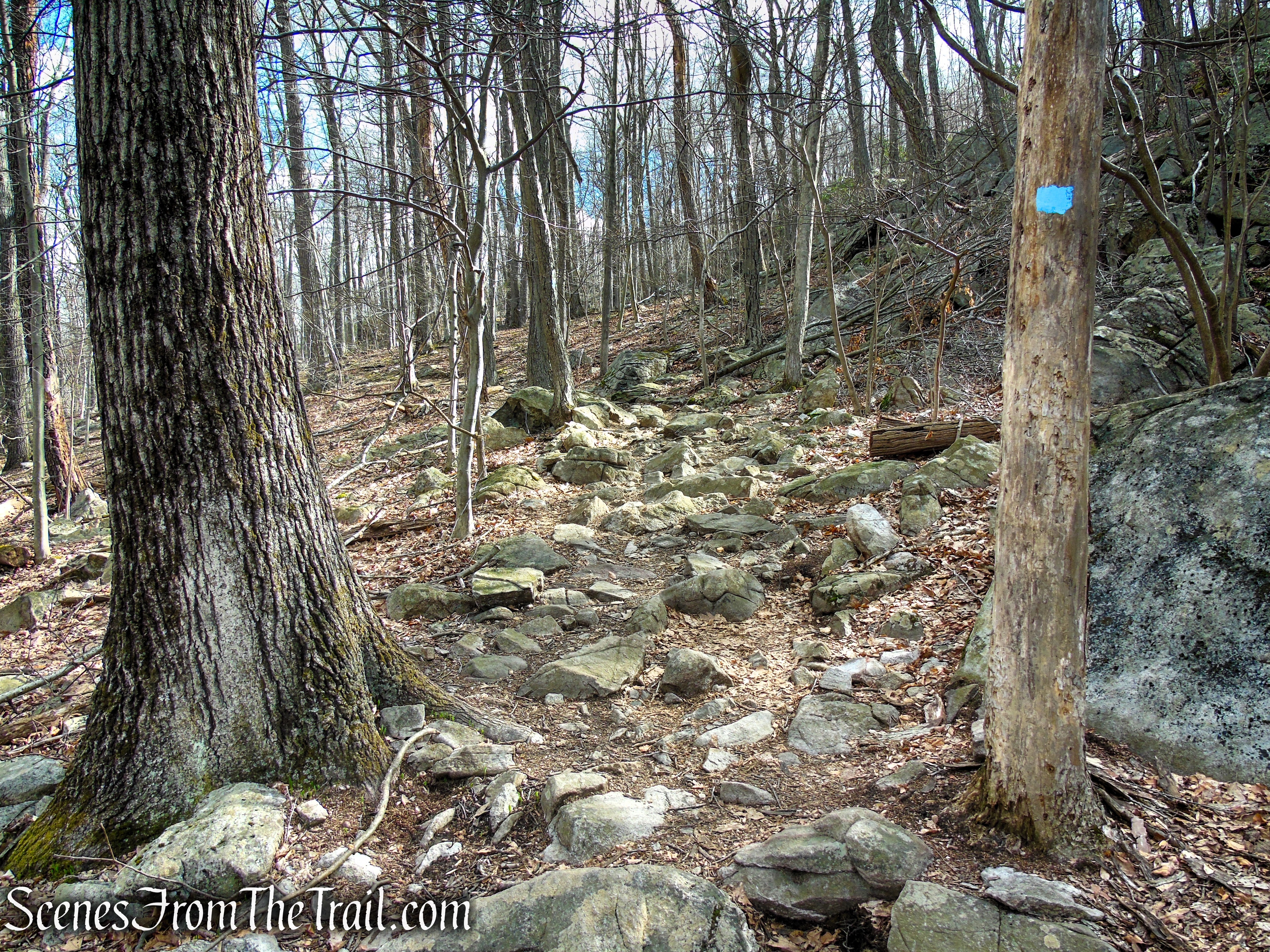 Blue Trail - Pyramid Mountain