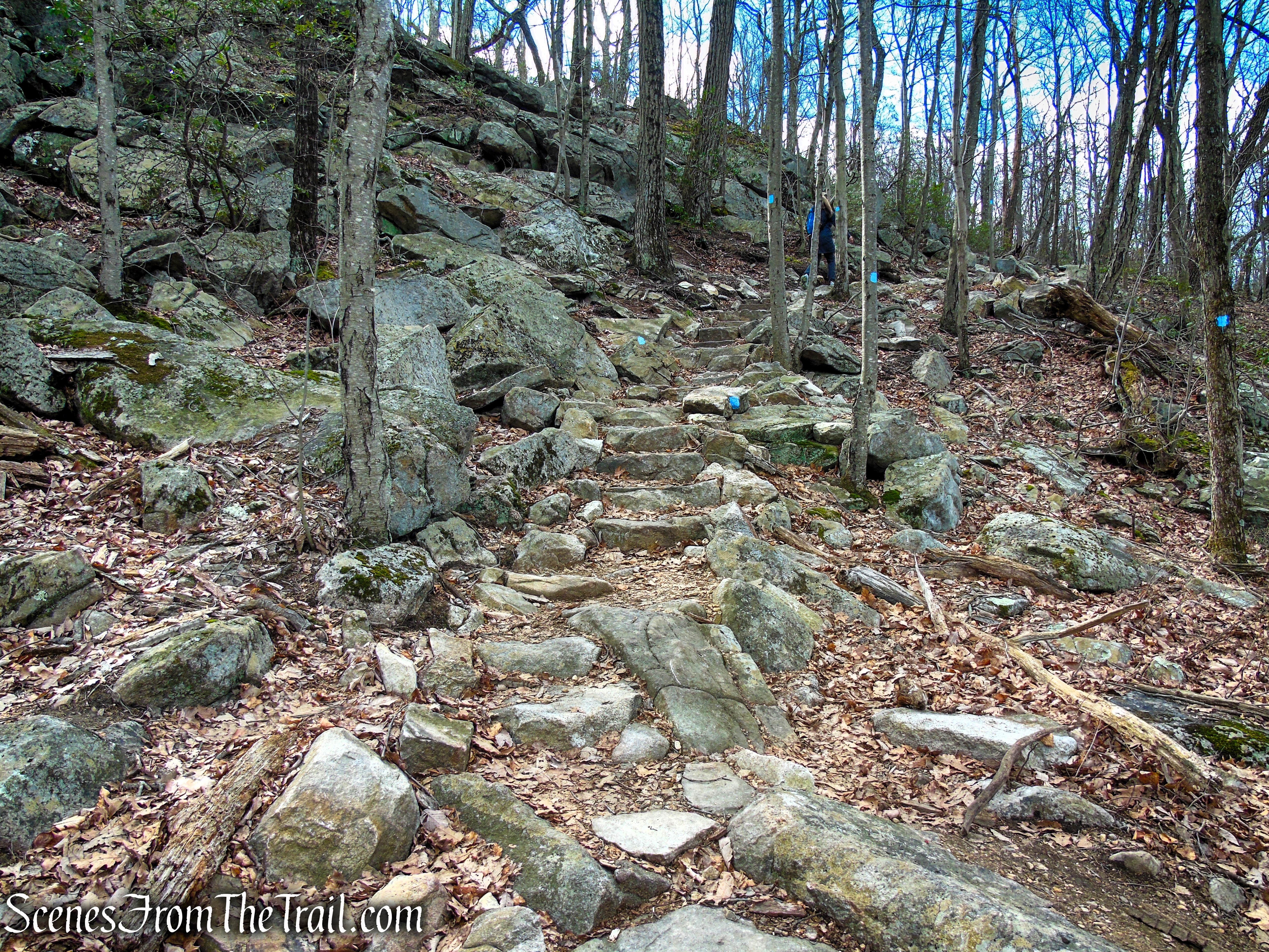 Blue Trail - Pyramid Mountain