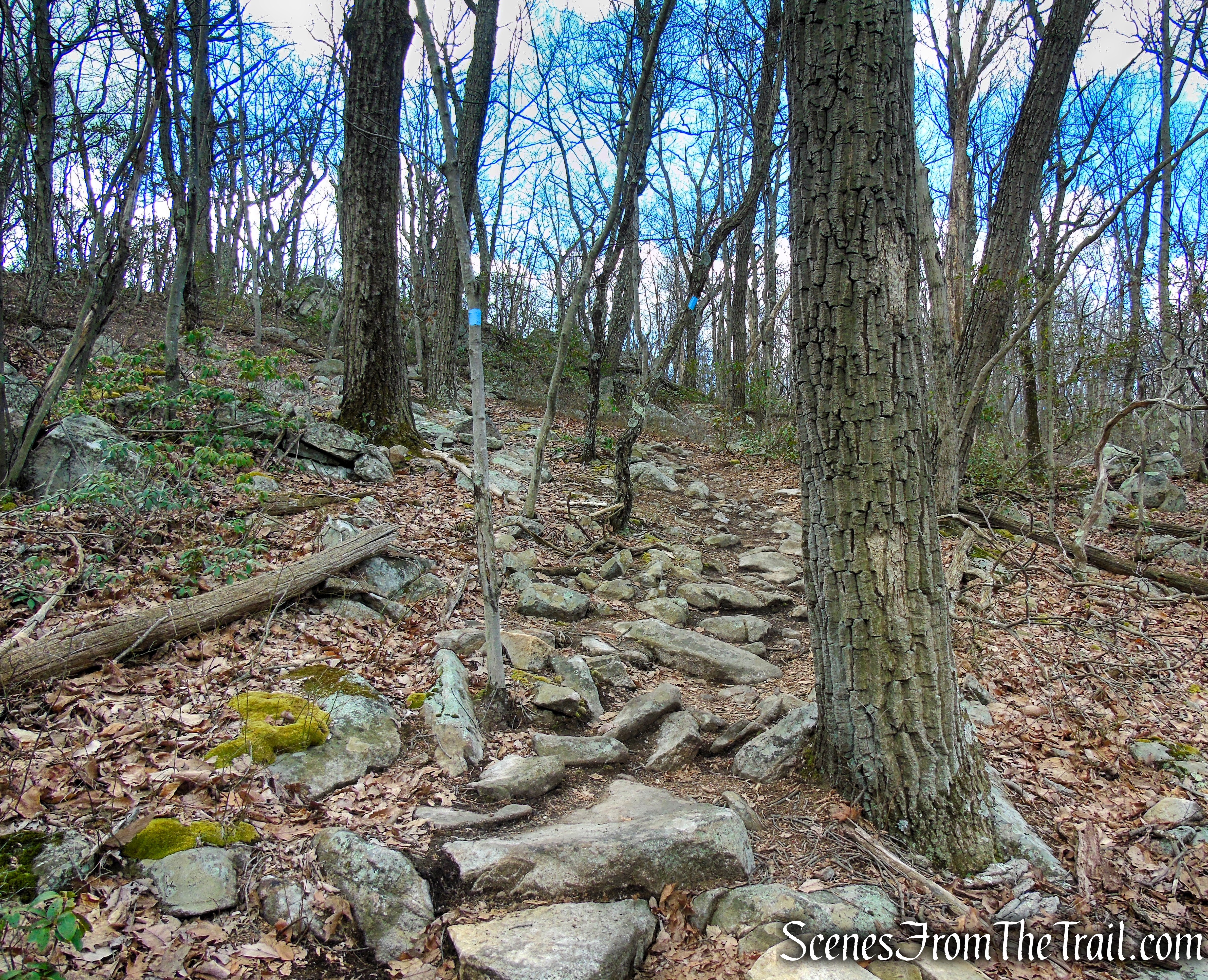 Blue Trail - Pyramid Mountain