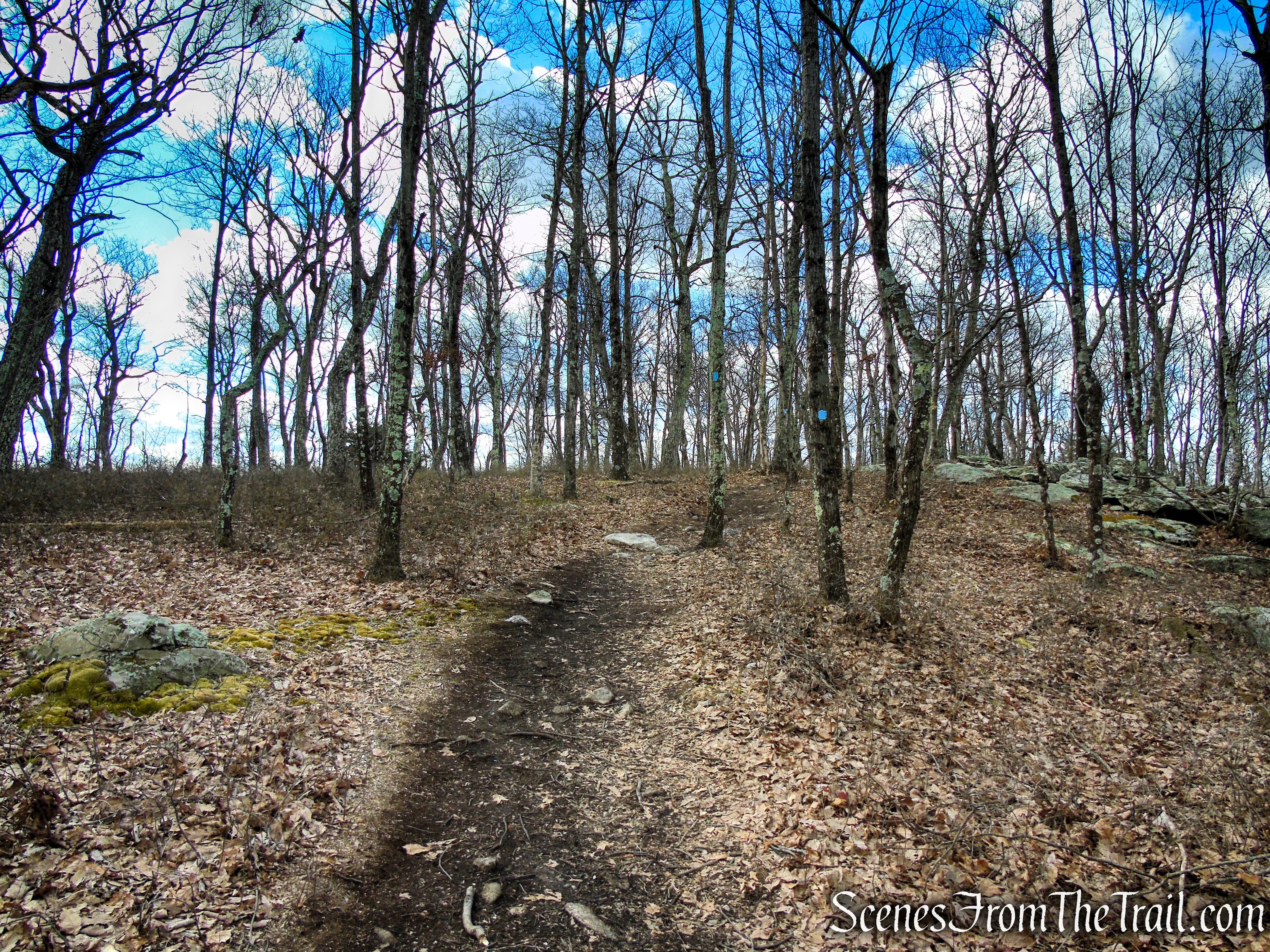 Blue Trail - Pyramid Mountain