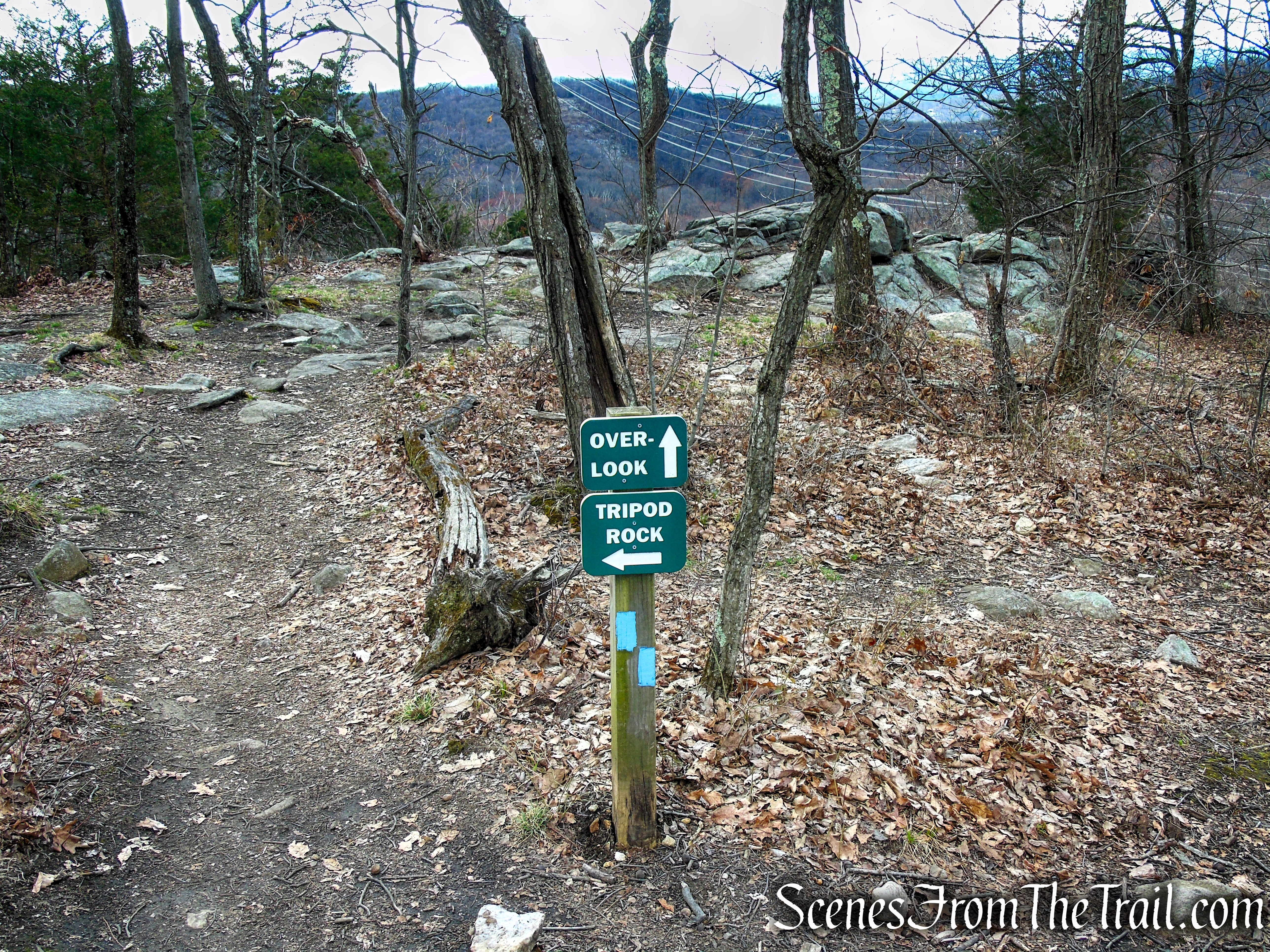 Blue Trail - Pyramid Mountain