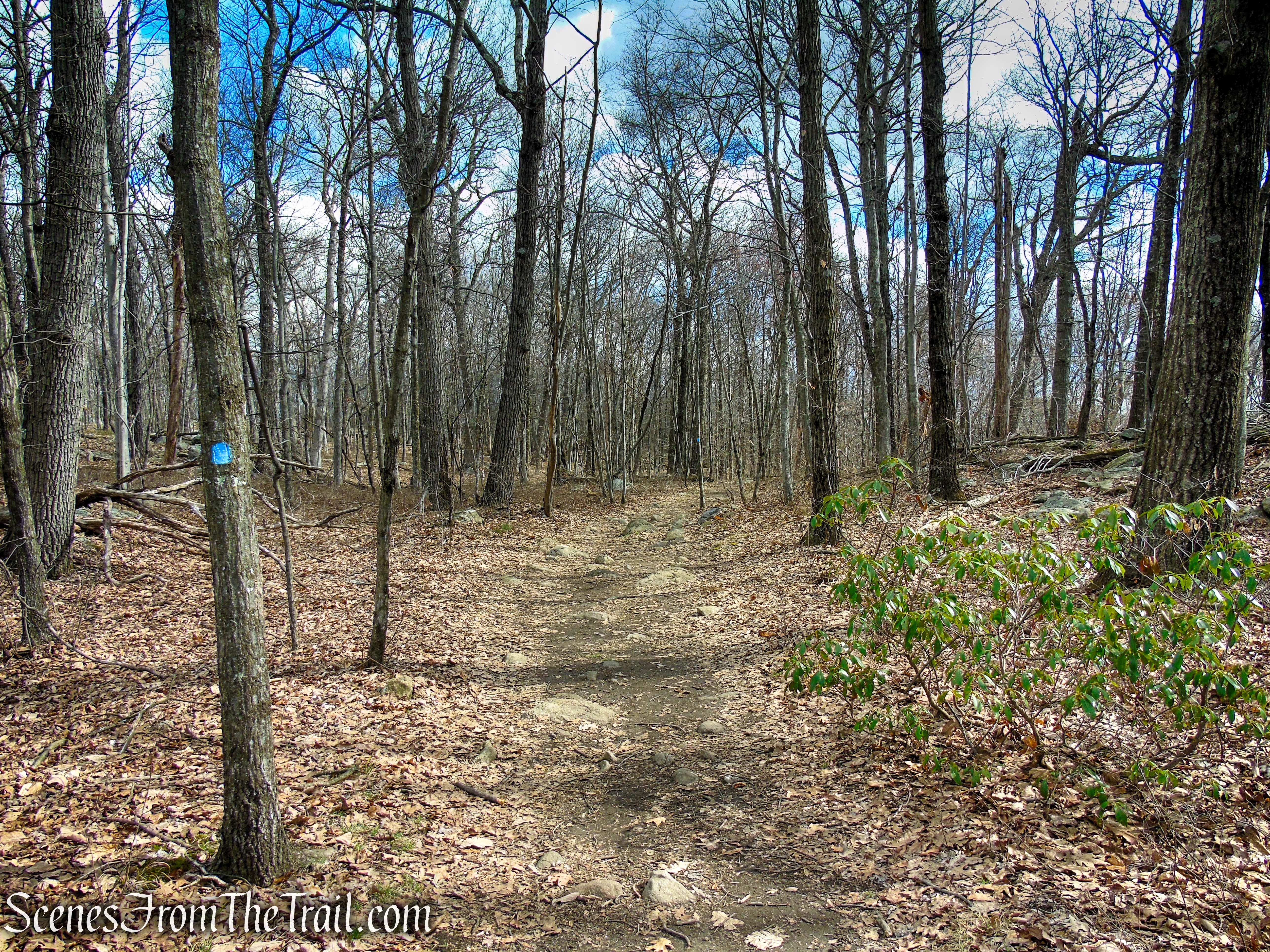 Blue Trail - Pyramid Mountain