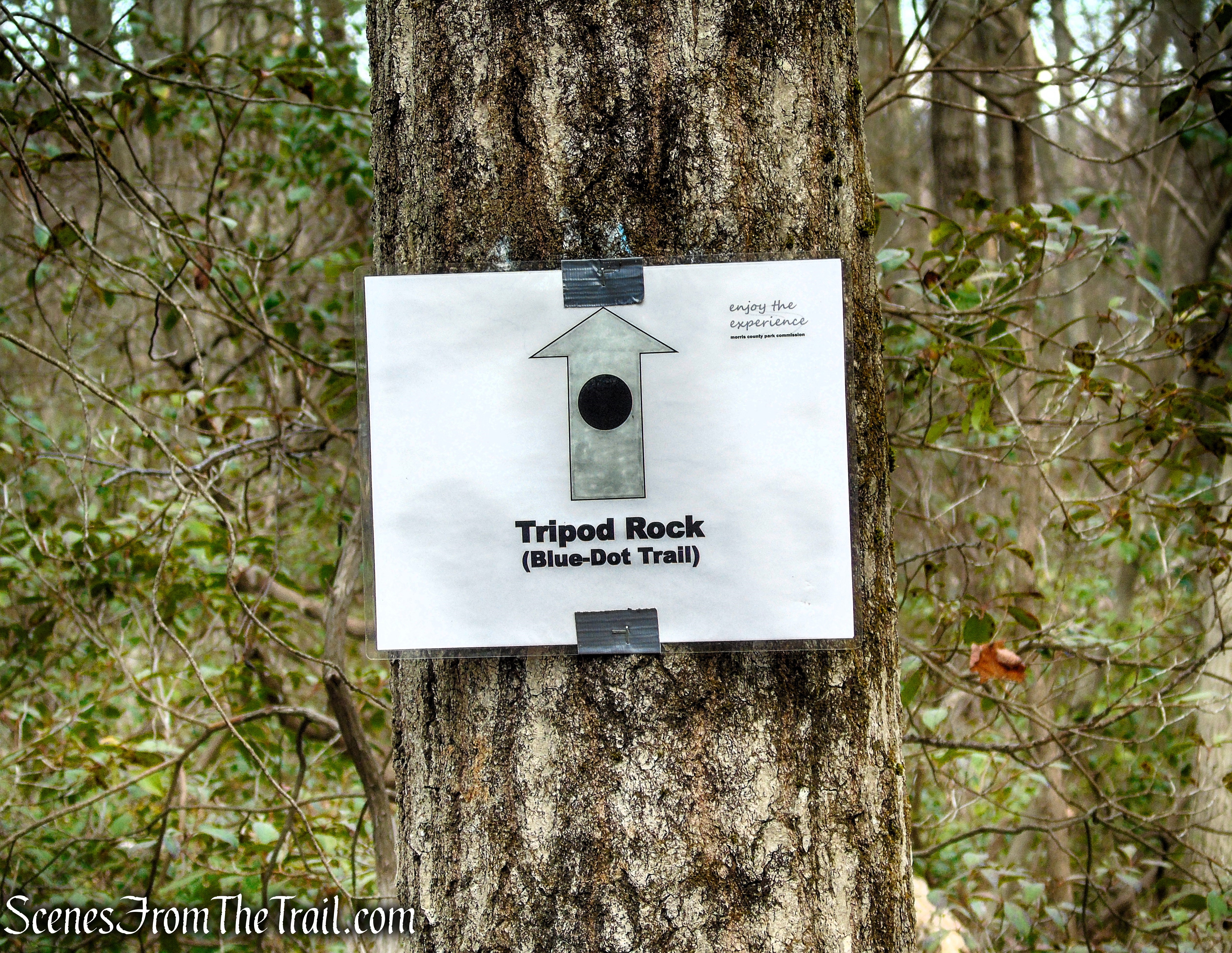 Blue Dot Trail - Pyramid Mountain