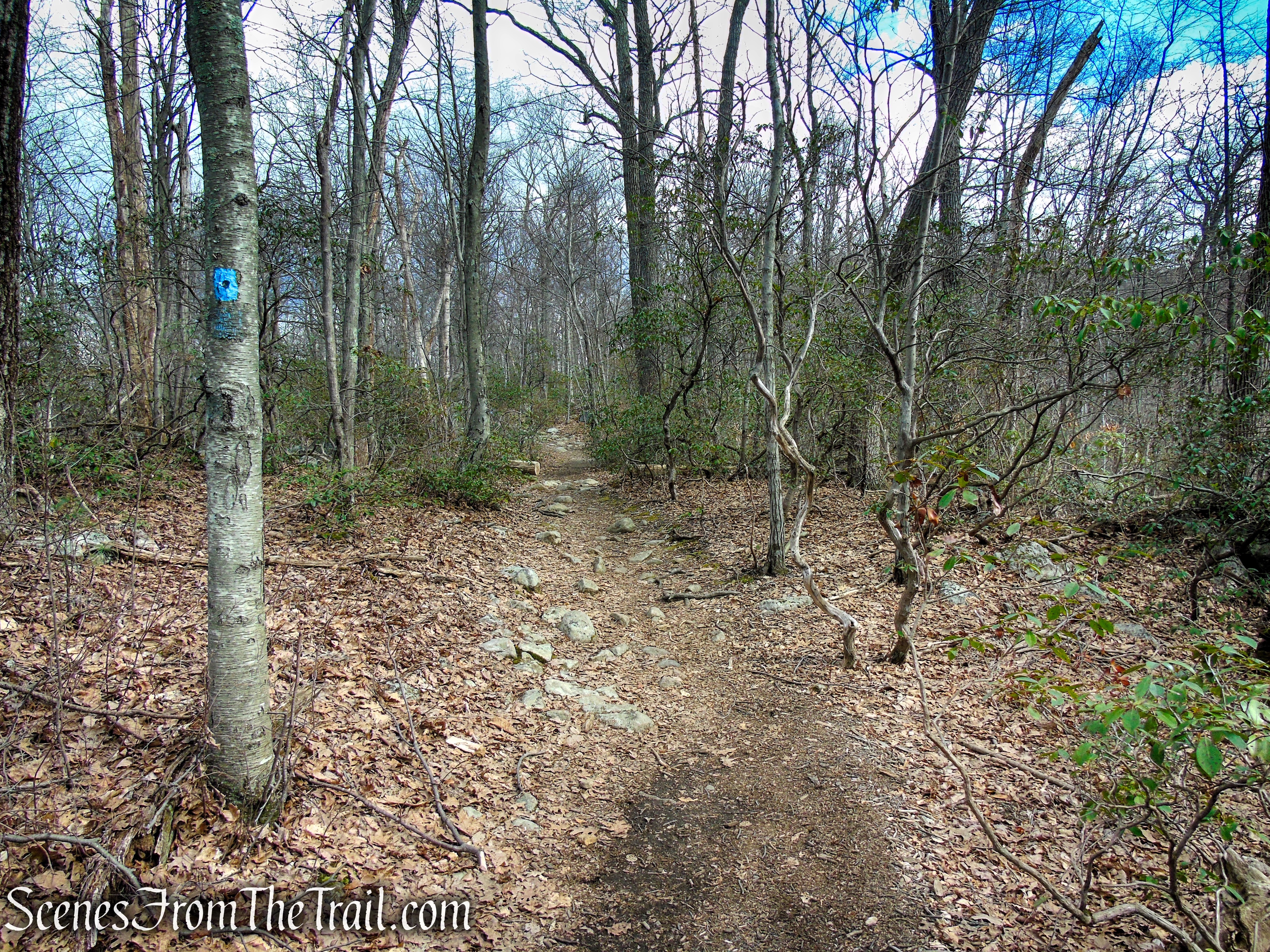 Blue Dot Trail - Pyramid Mountain