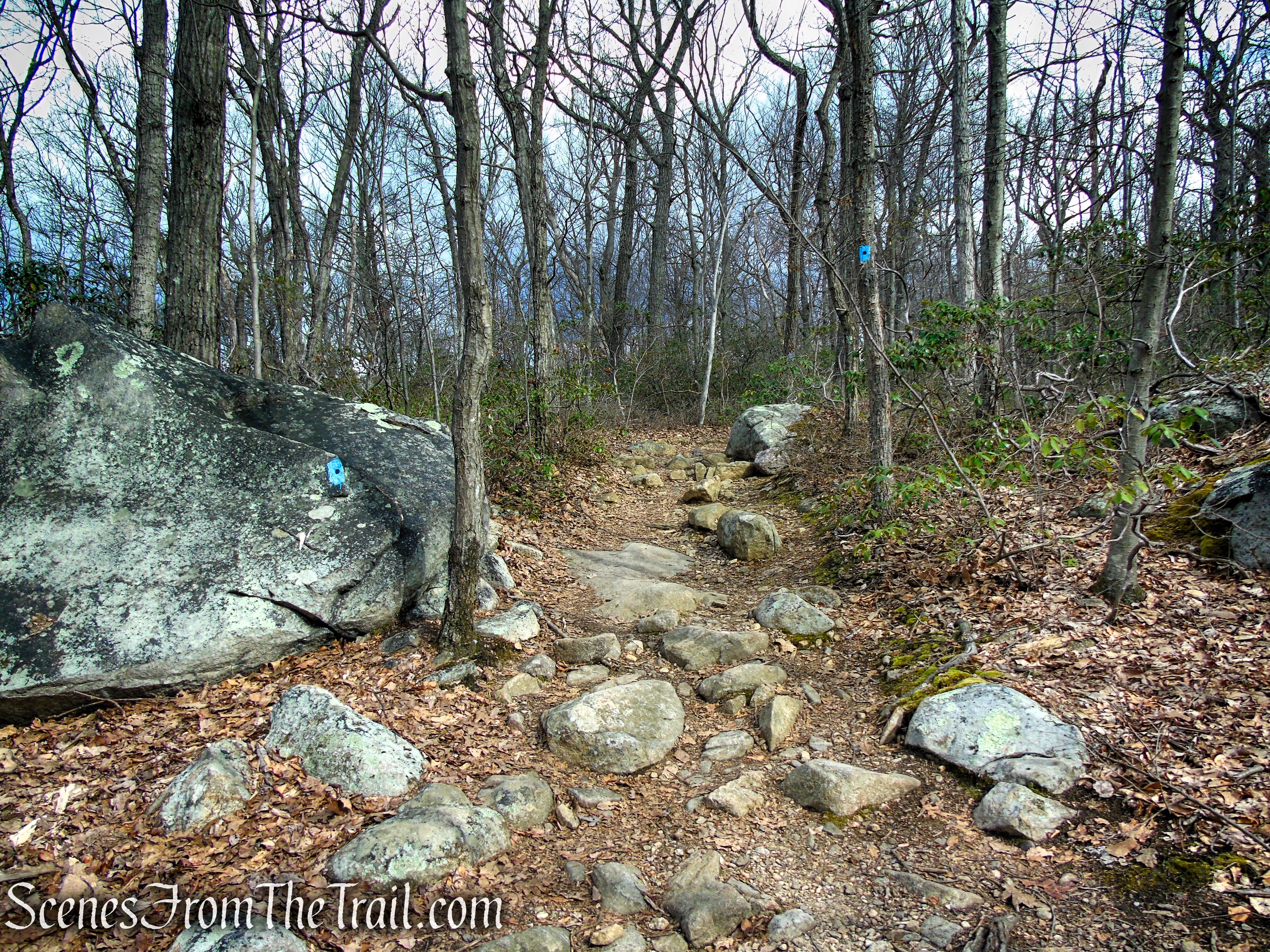 Blue Dot Trail - Pyramid Mountain