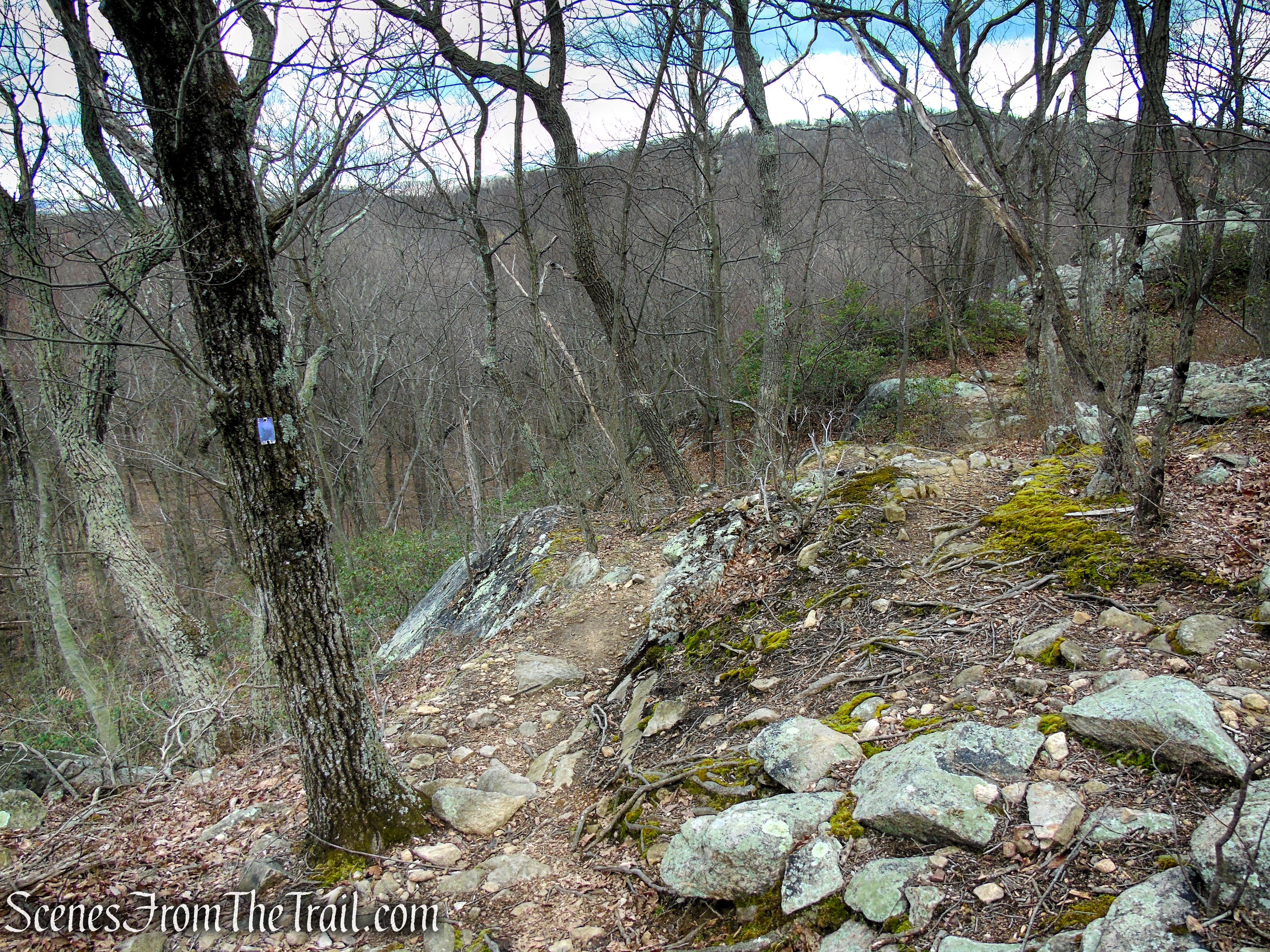 Purple Trail - Pyramid Mountain