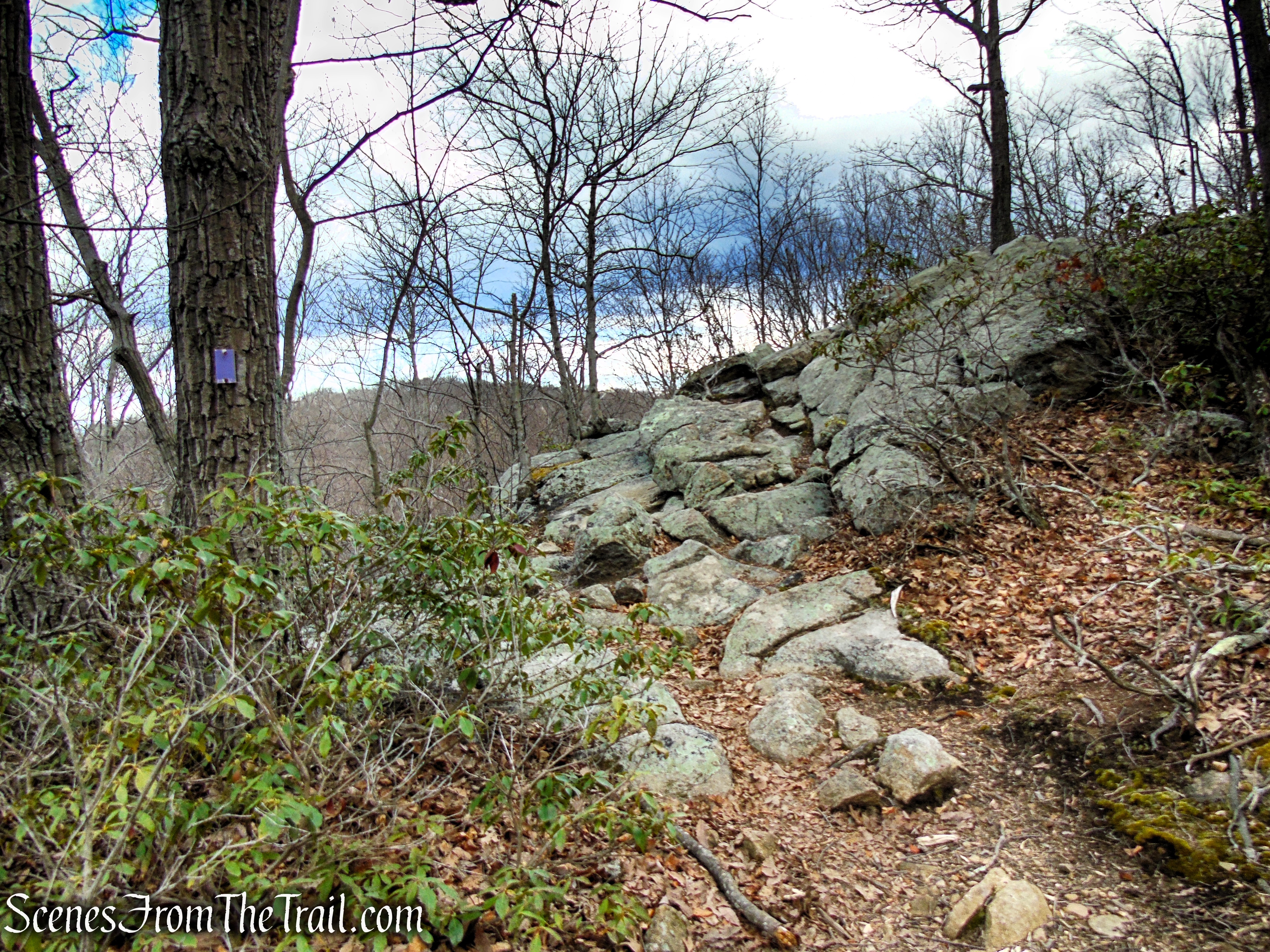 Purple Trail - Pyramid Mountain