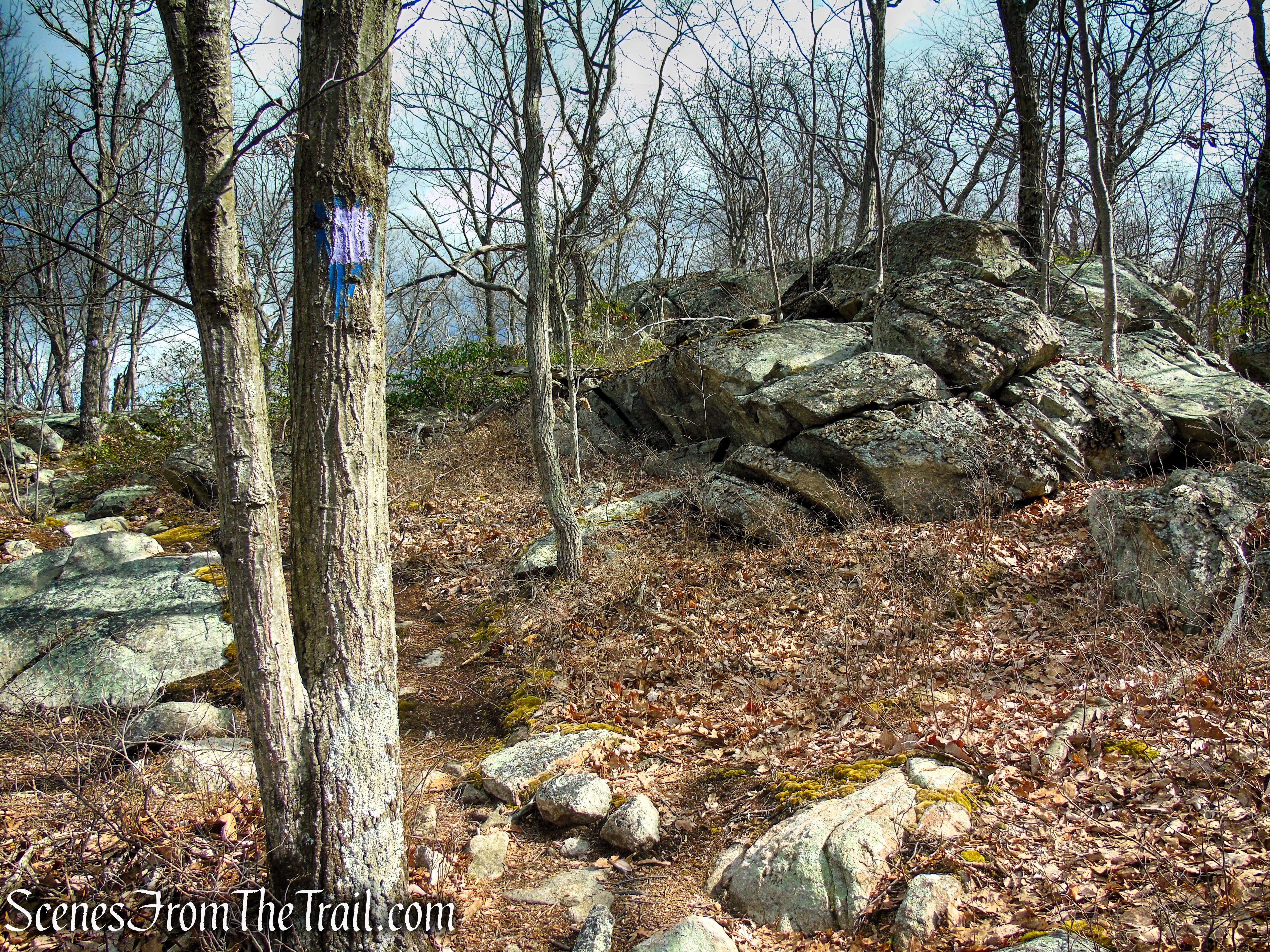 Purple Trail - Pyramid Mountain