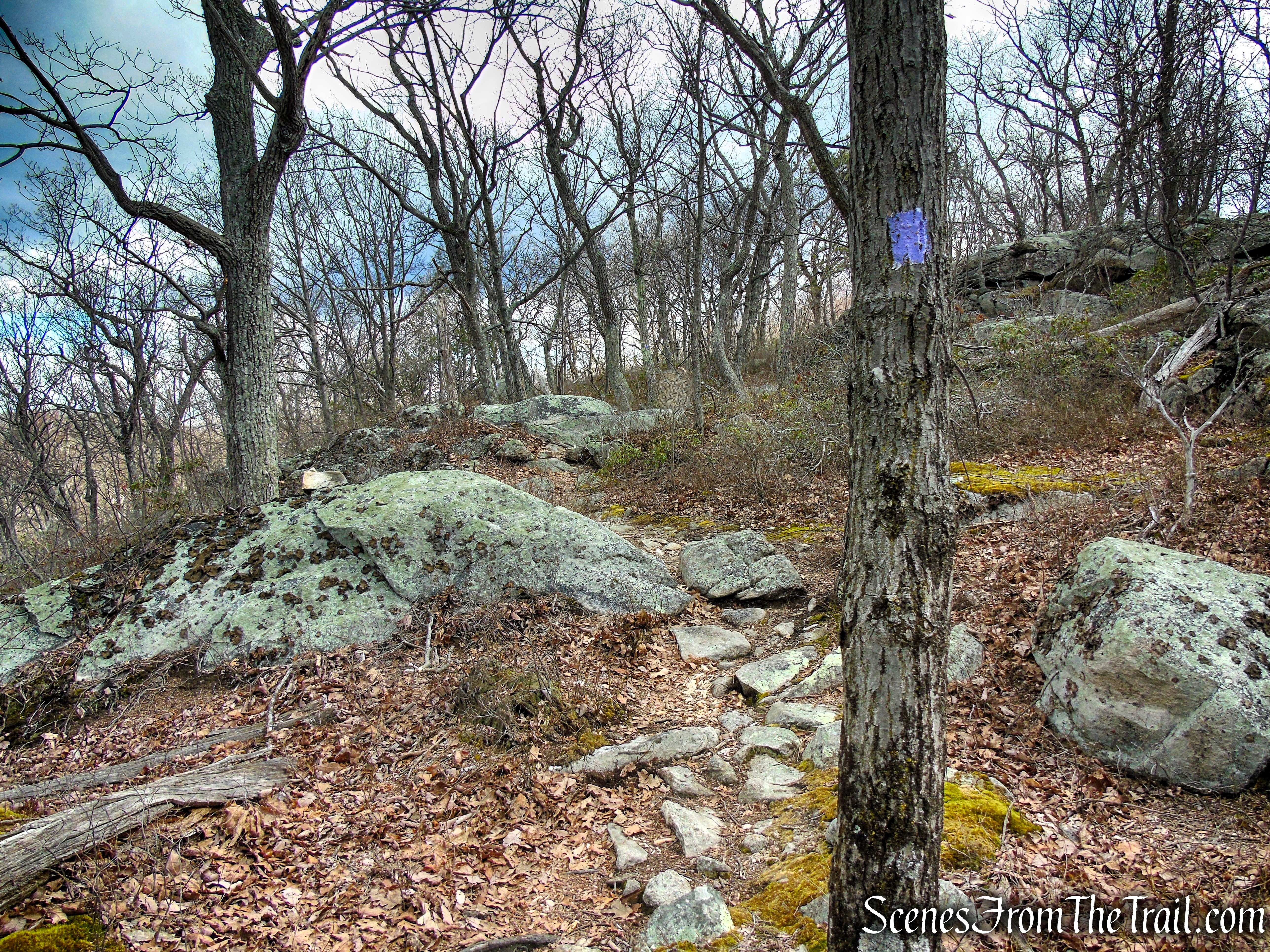 Purple Trail - Pyramid Mountain