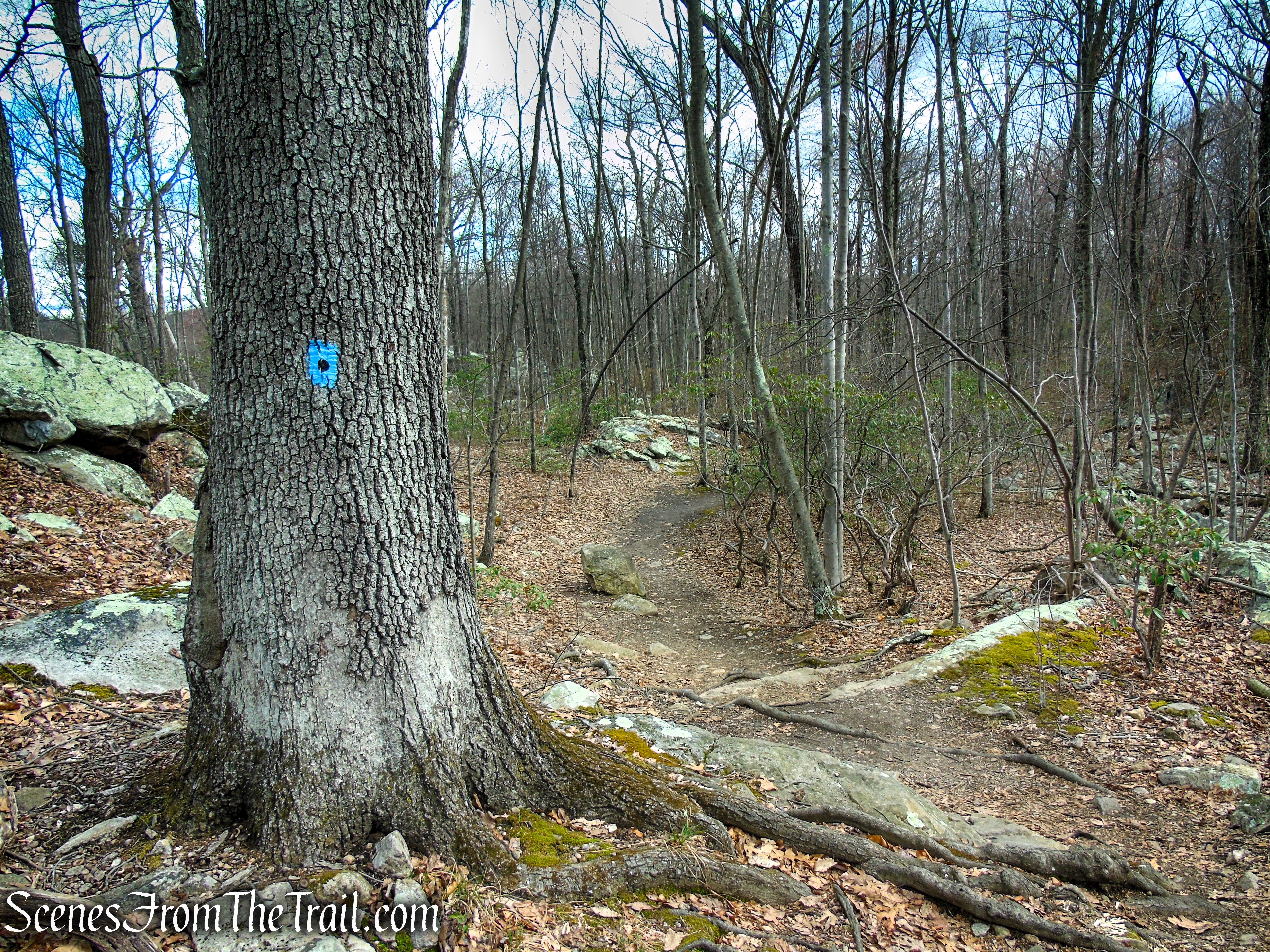 Blue Dot Trail - Pyramid Mountain