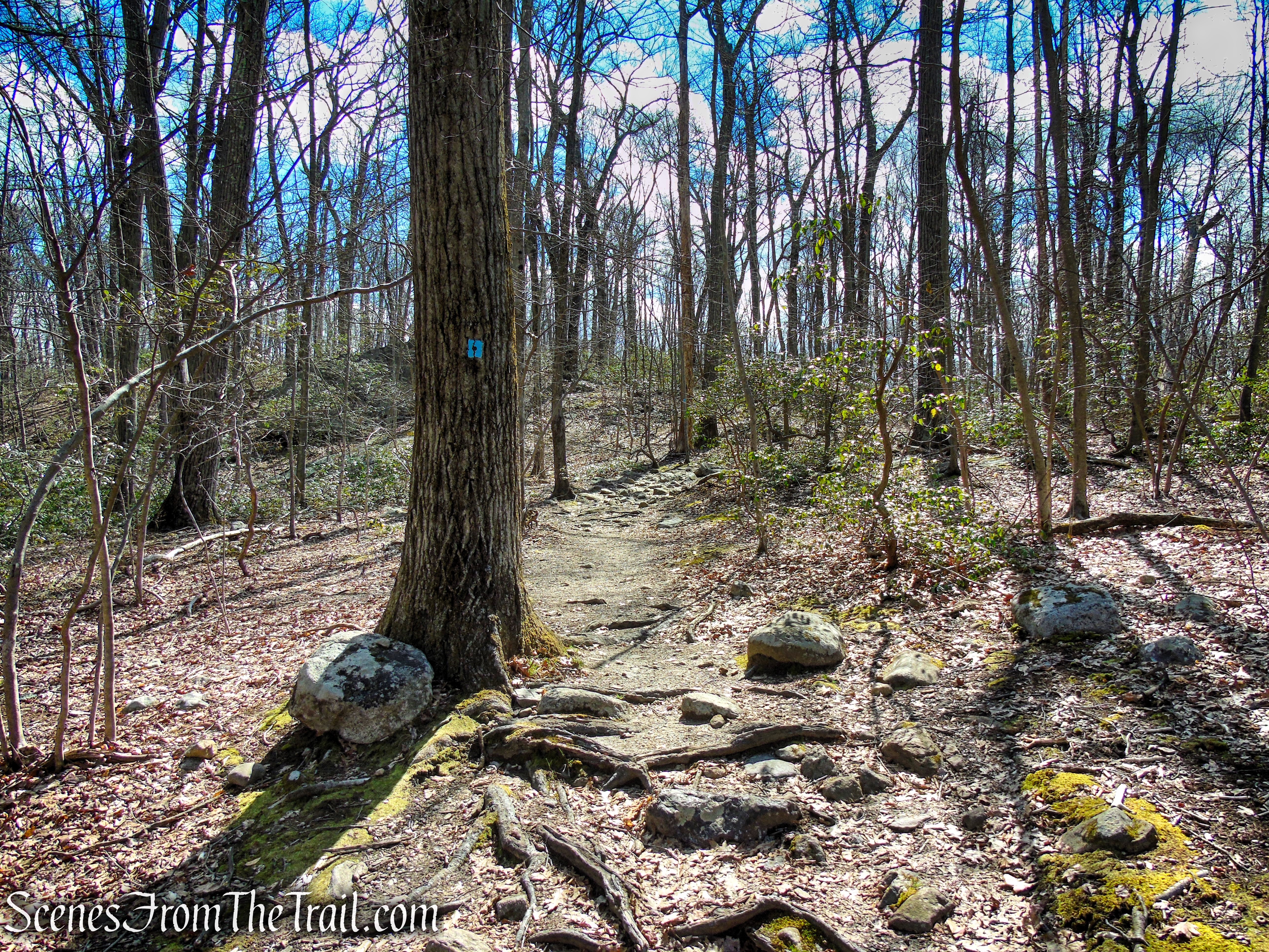 Blue Dot Trail - Pyramid Mountain