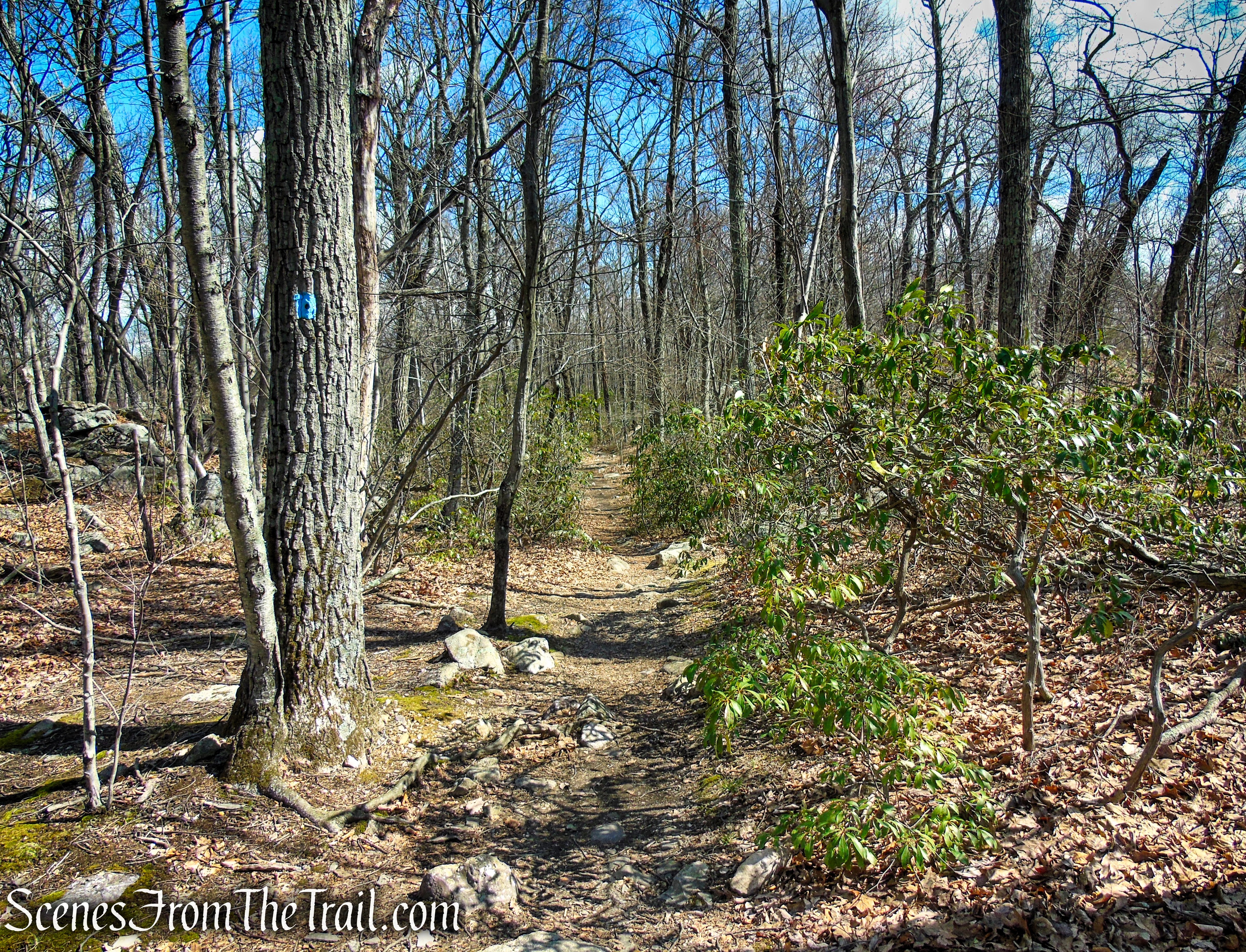 Blue Dot Trail - Pyramid Mountain