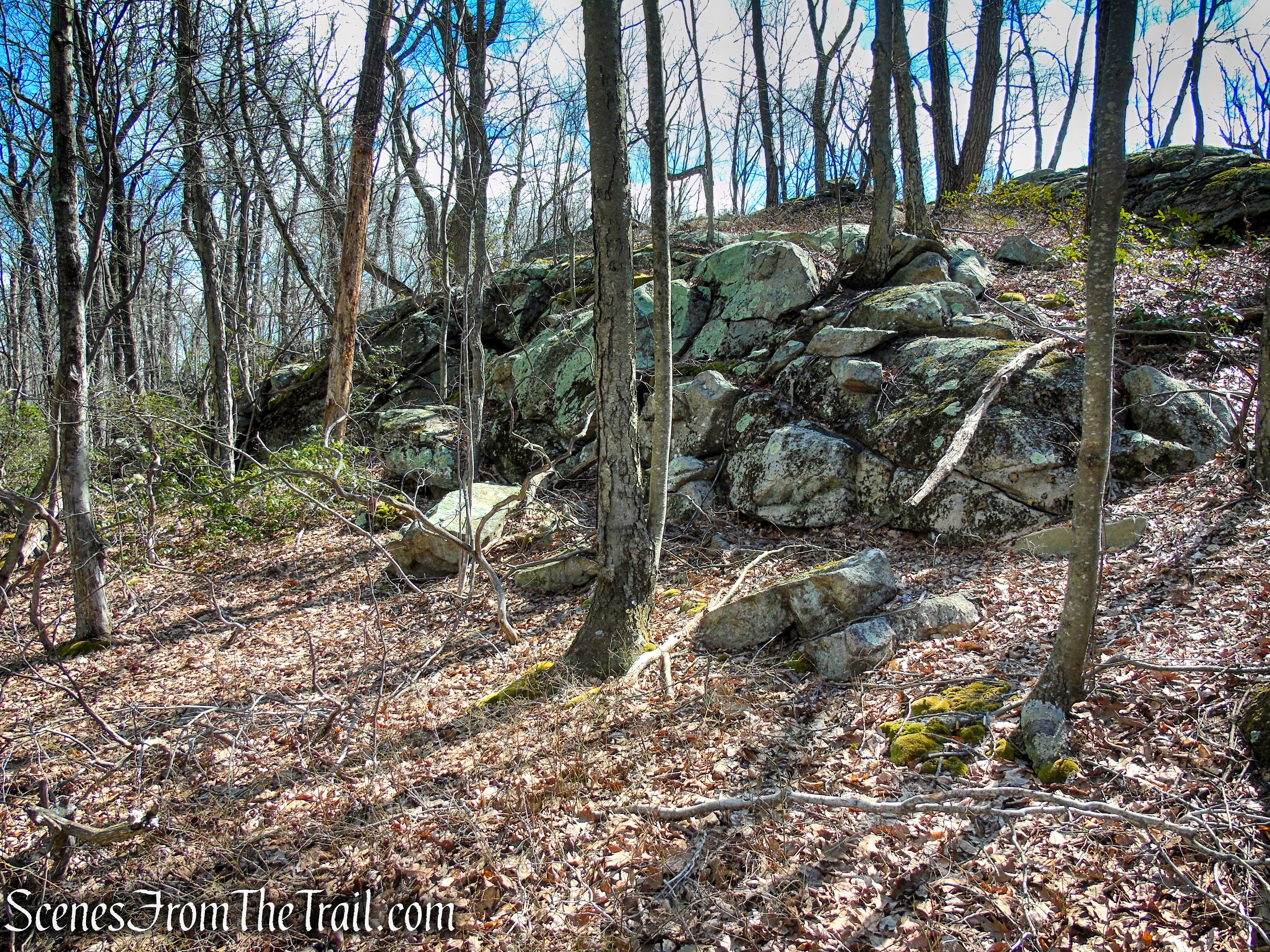 Blue Dot Trail - Pyramid Mountain