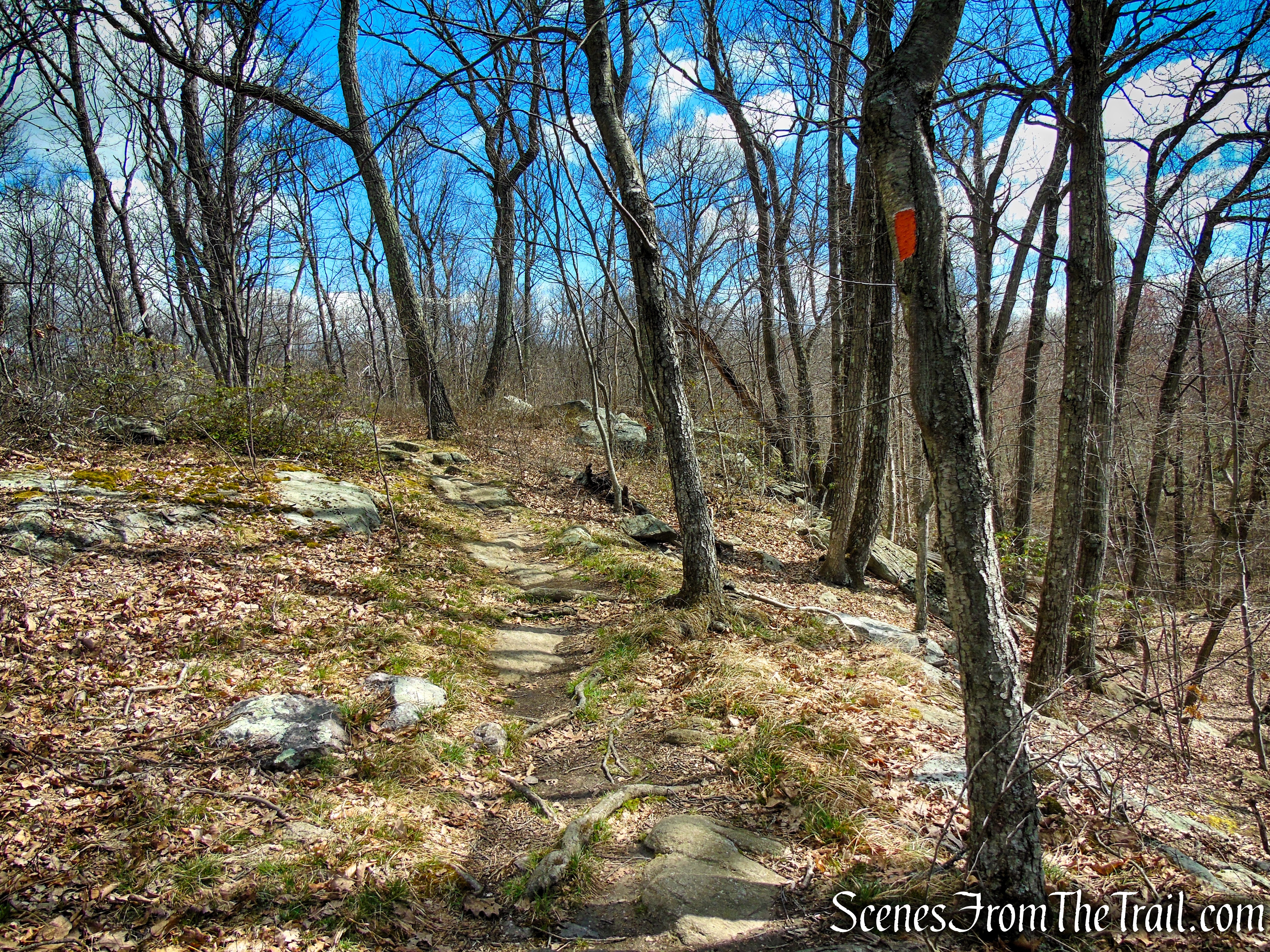 Orange Trail - Pyramid Mountain