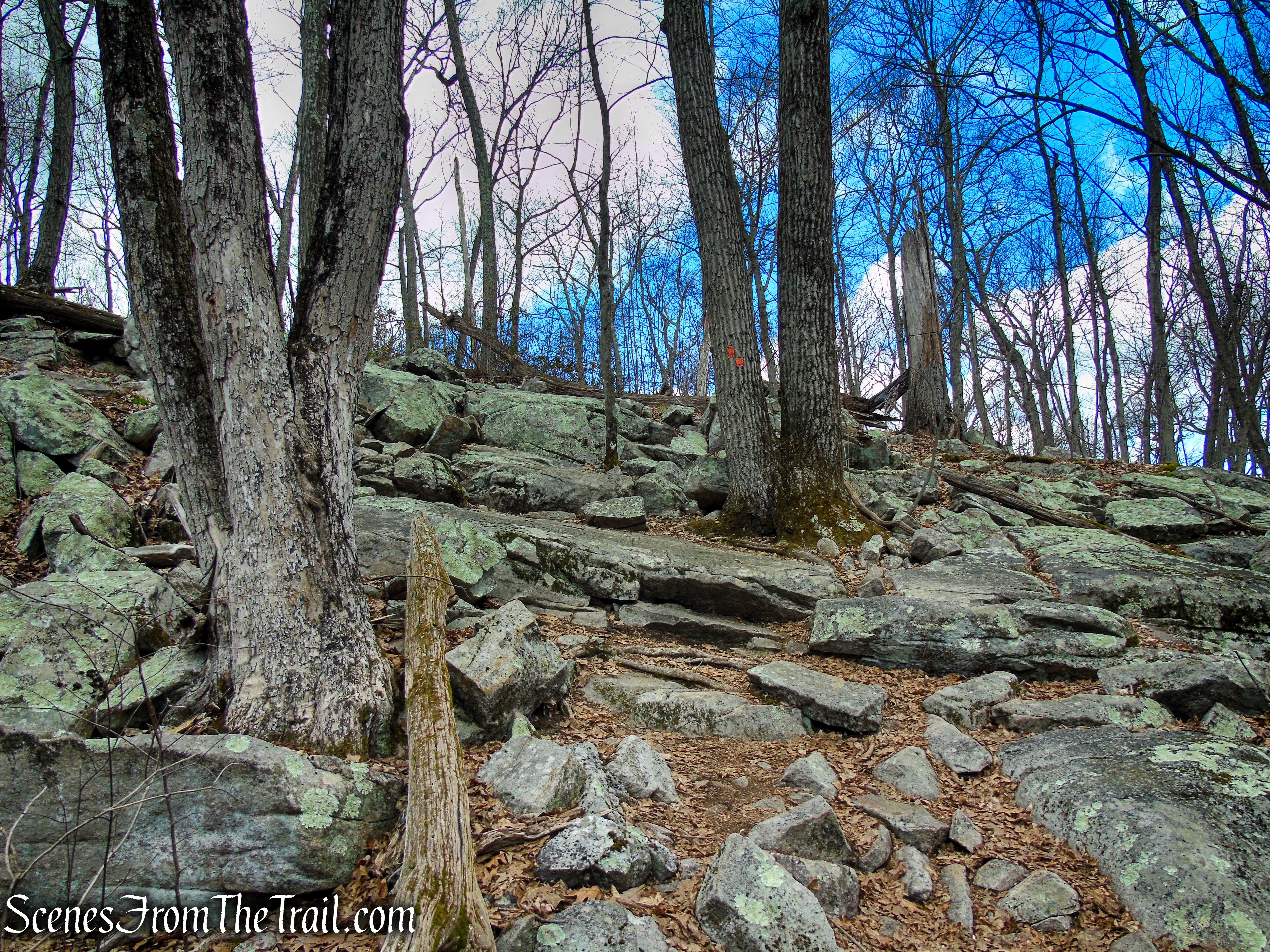 Orange Trail - Pyramid Mountain