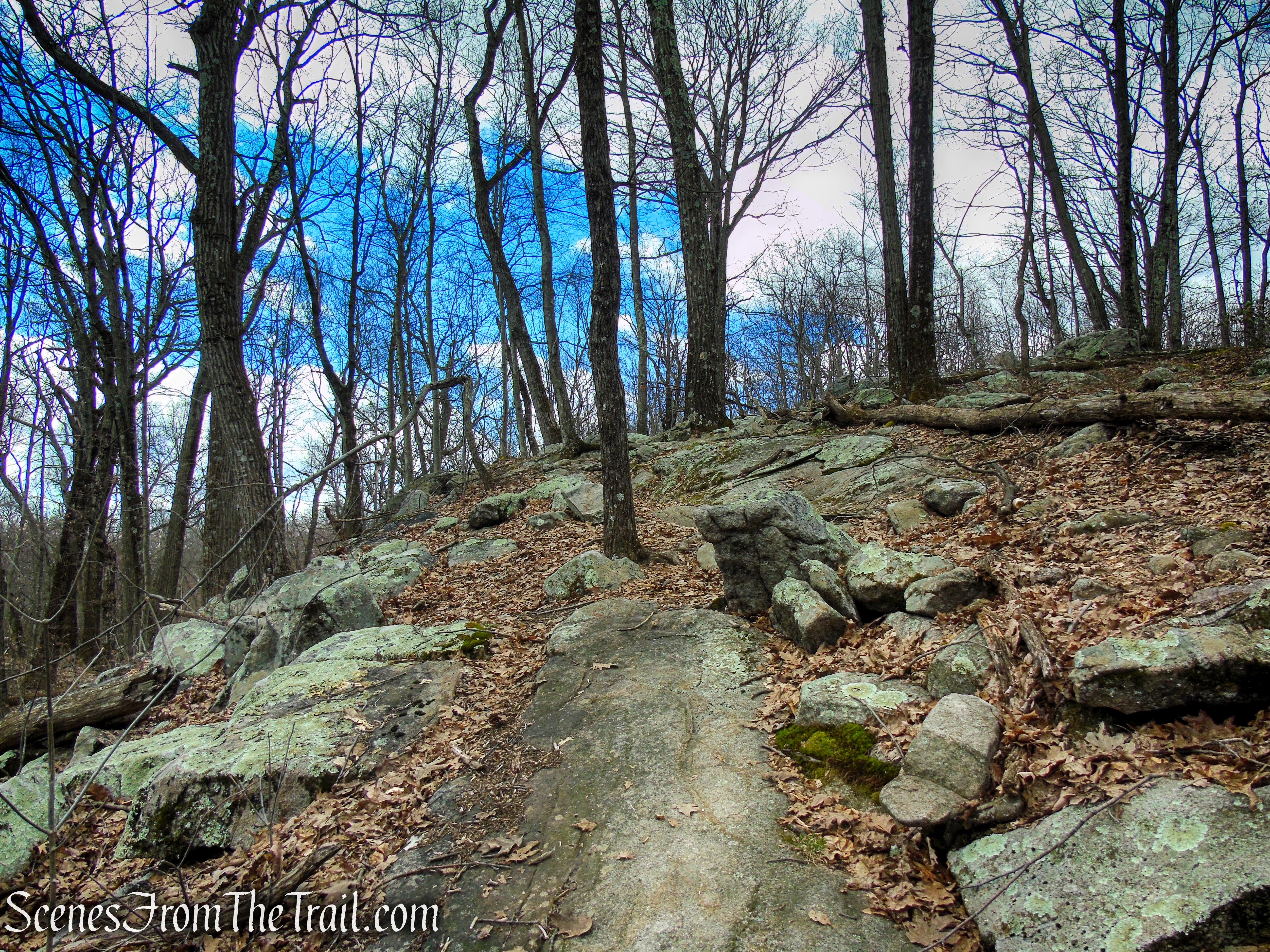Orange Trail - Pyramid Mountain