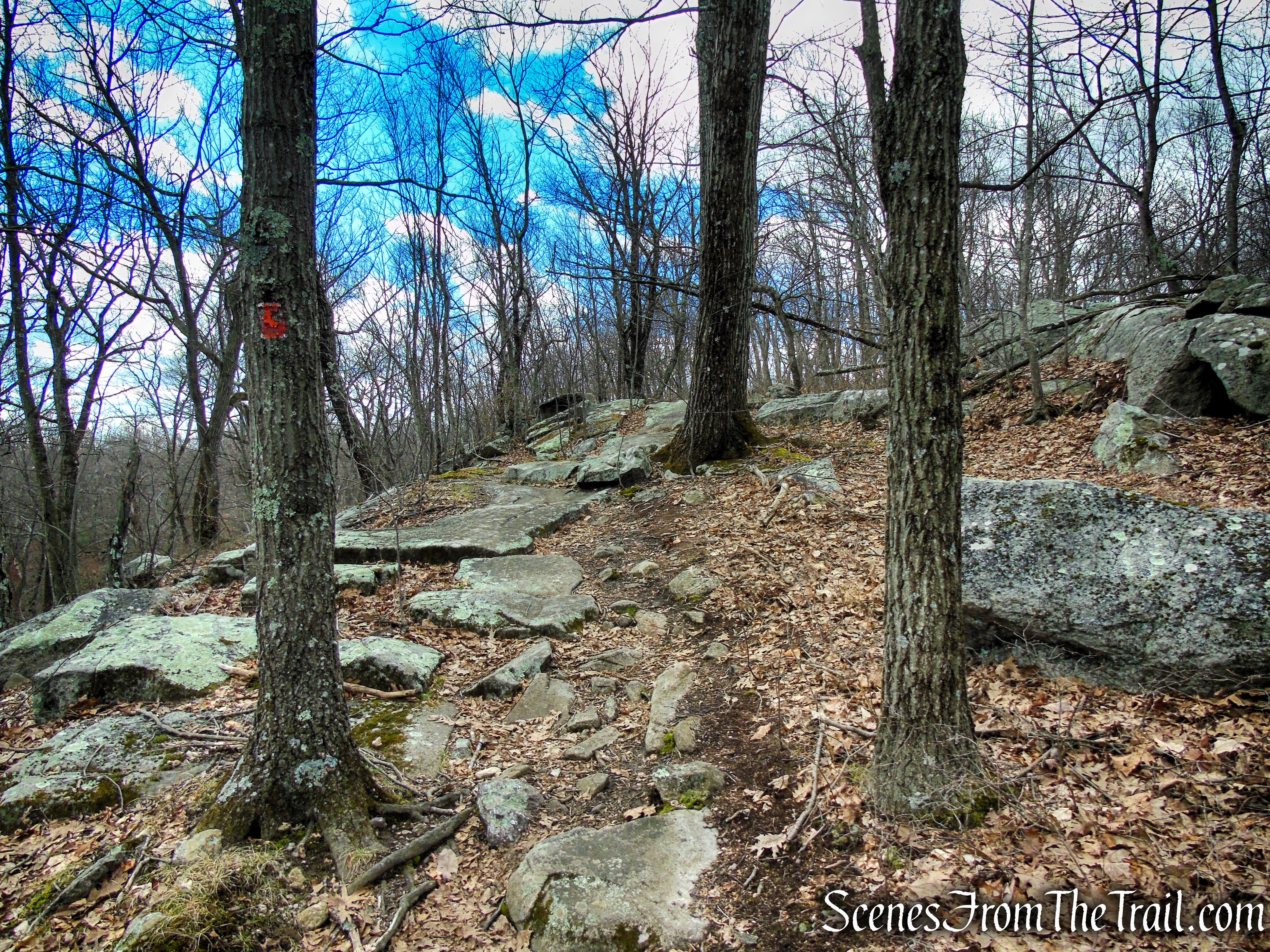 Orange Trail - Pyramid Mountain