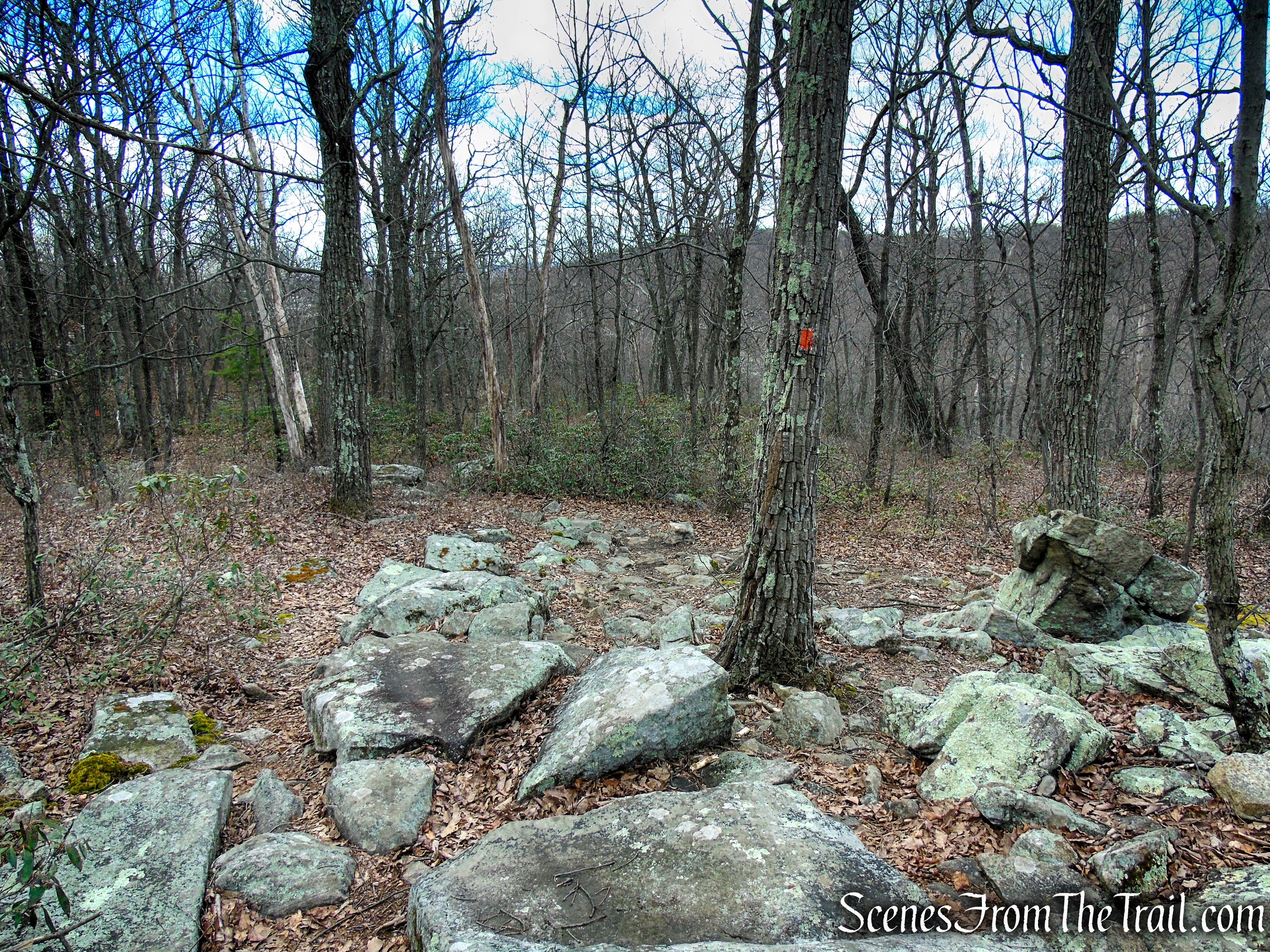 Orange Trail - Pyramid Mountain
