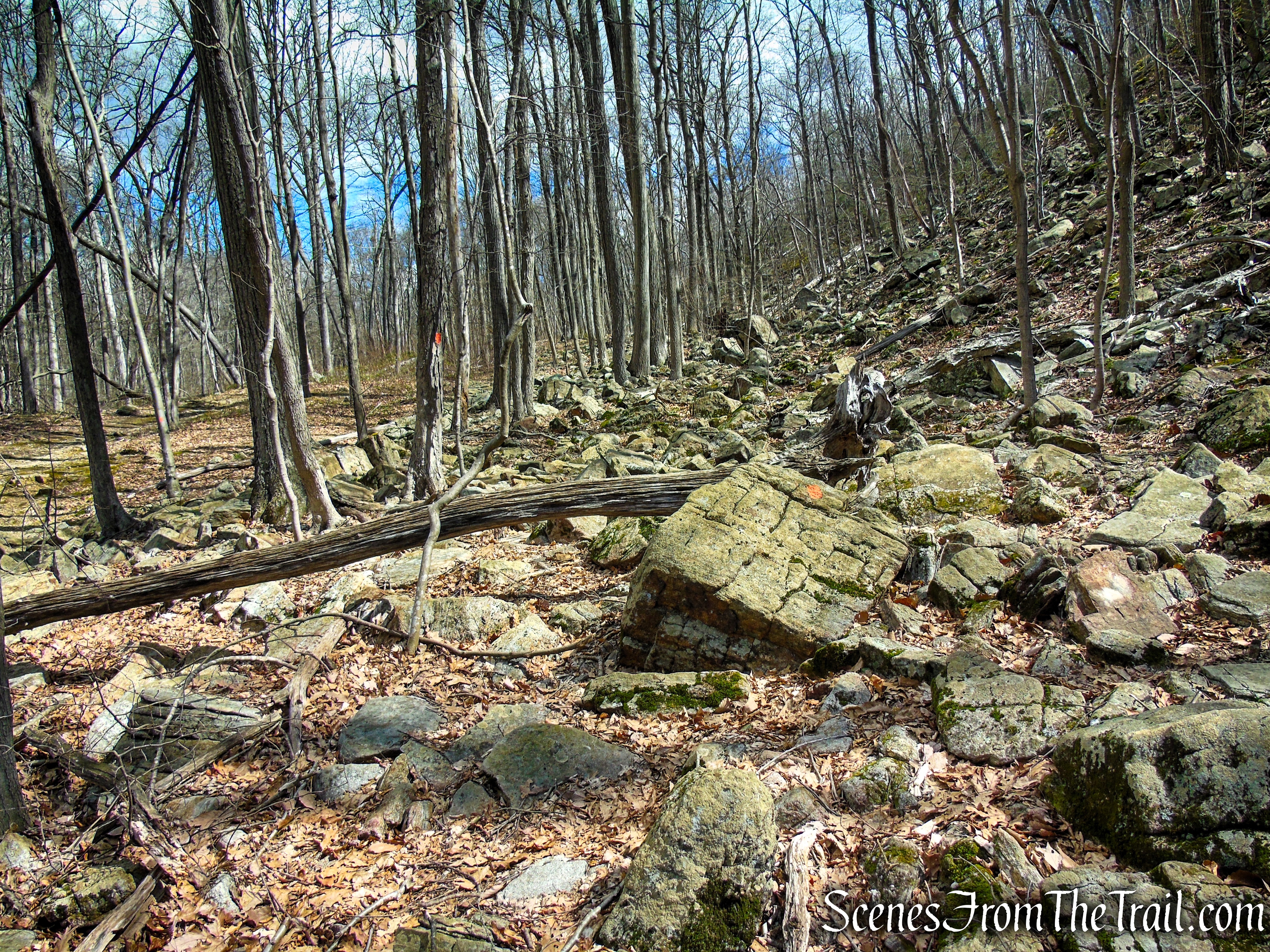 Orange Trail - Pyramid Mountain