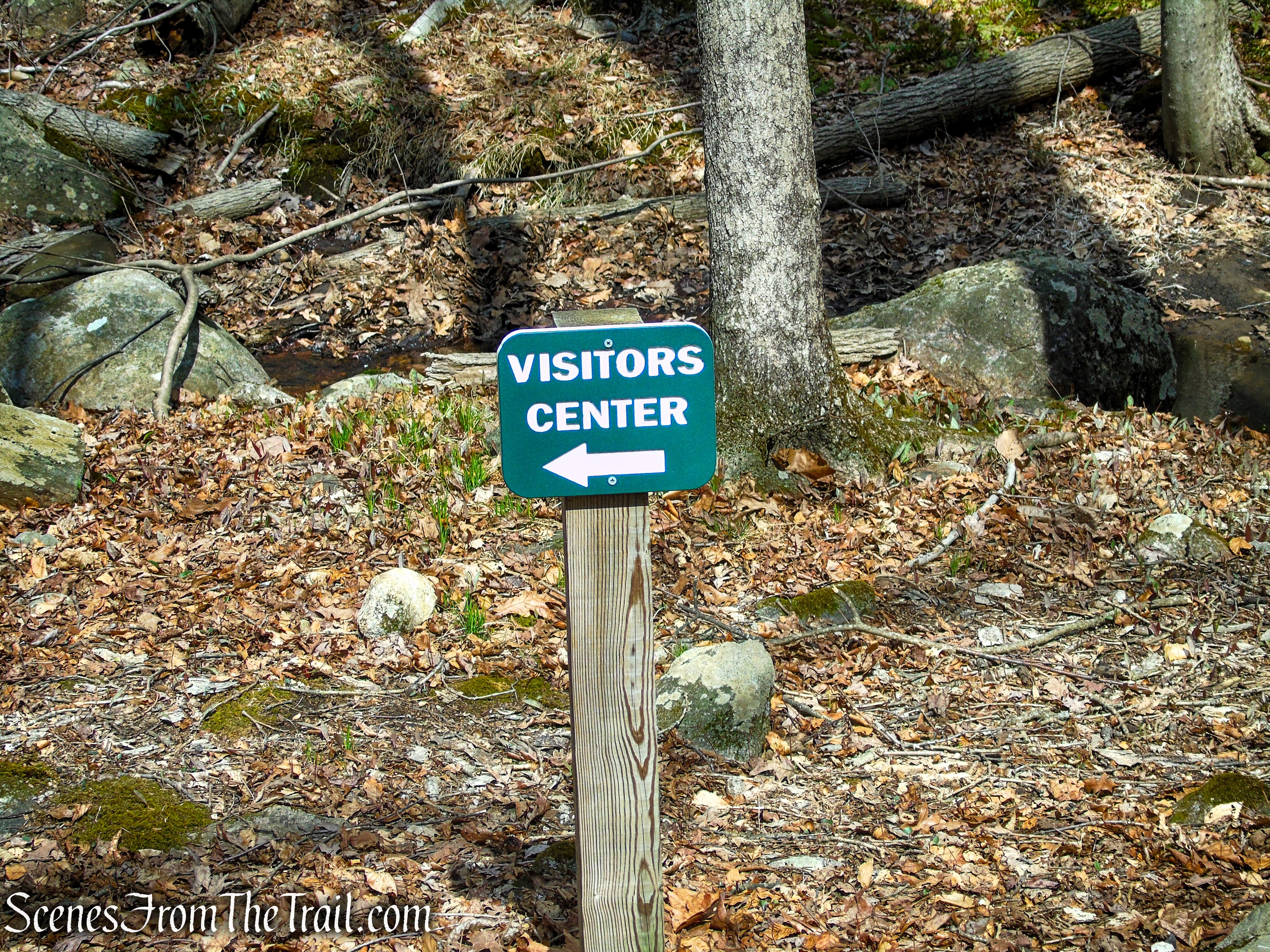 Orange Trail - Pyramid Mountain