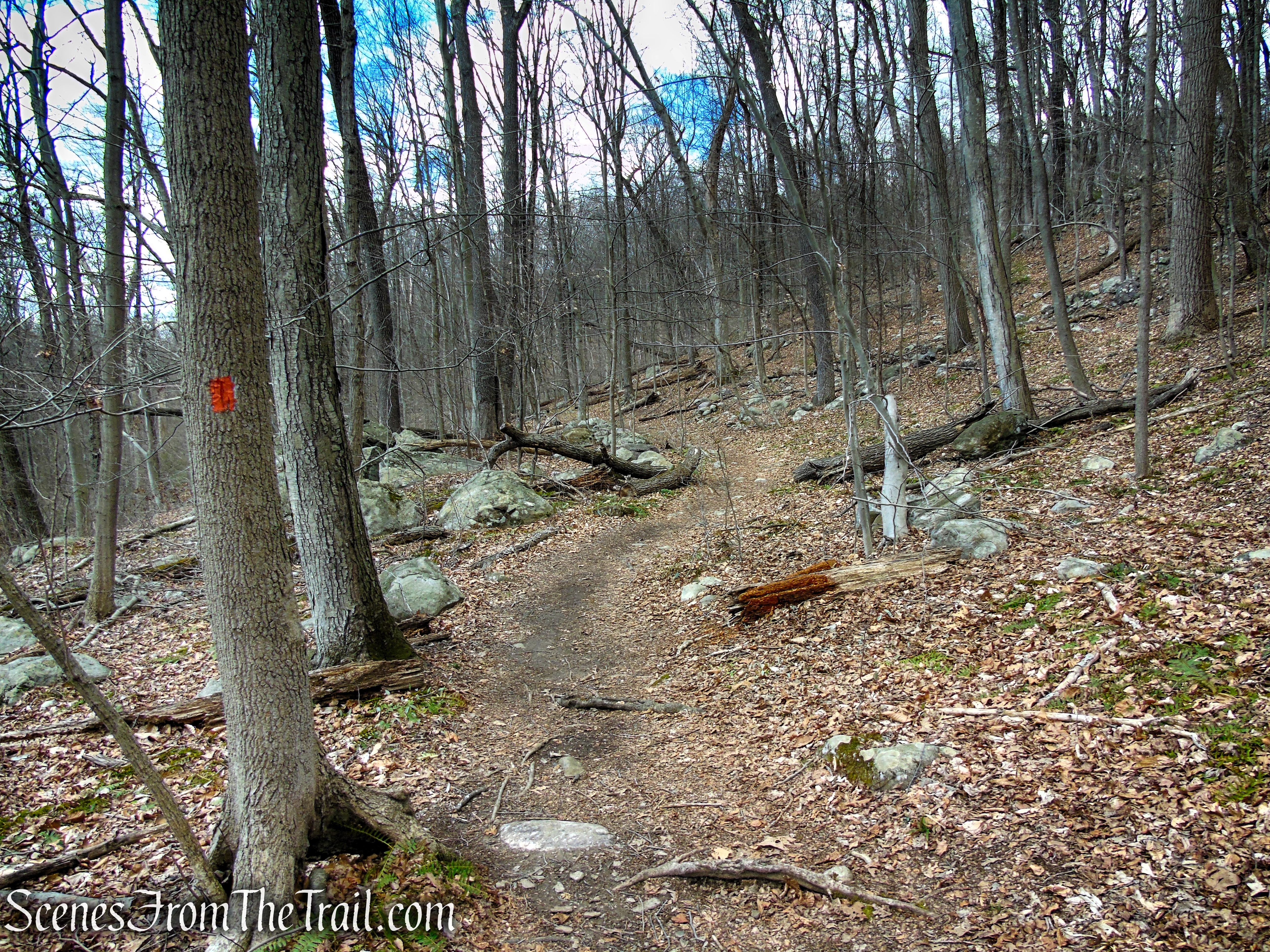 Orange Trail - Pyramid Mountain